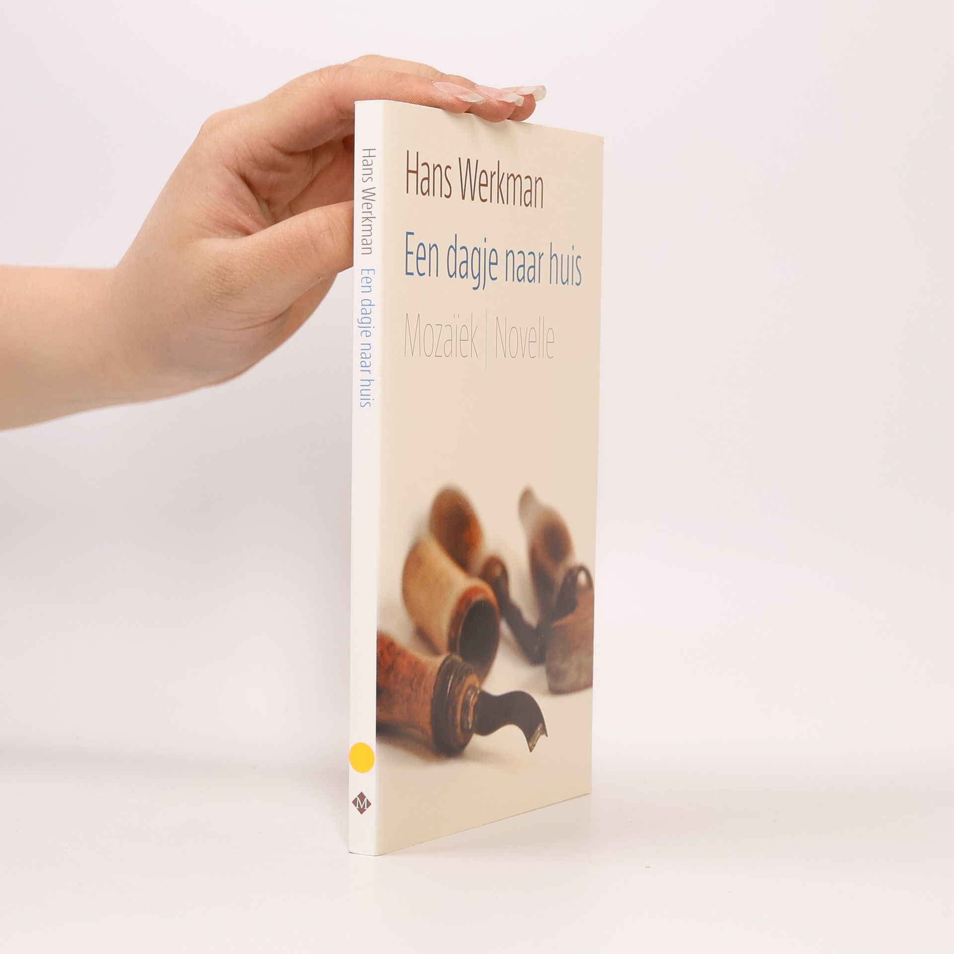 Hans Werkman Een dagje naar huis