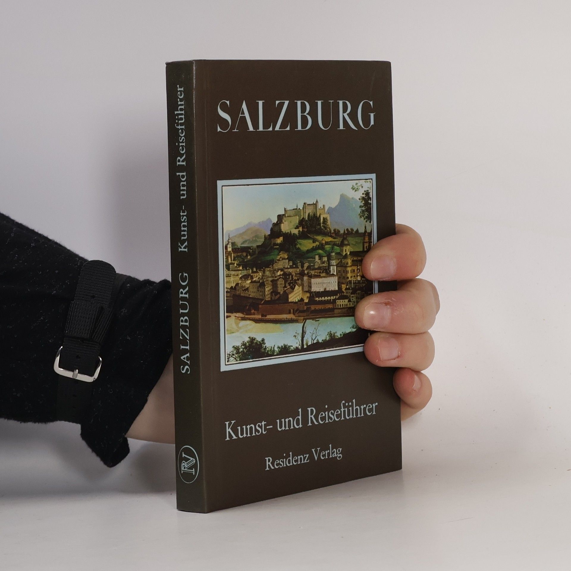 Wolfgang Steinitz Salzburg. Kunst und Reiseführer