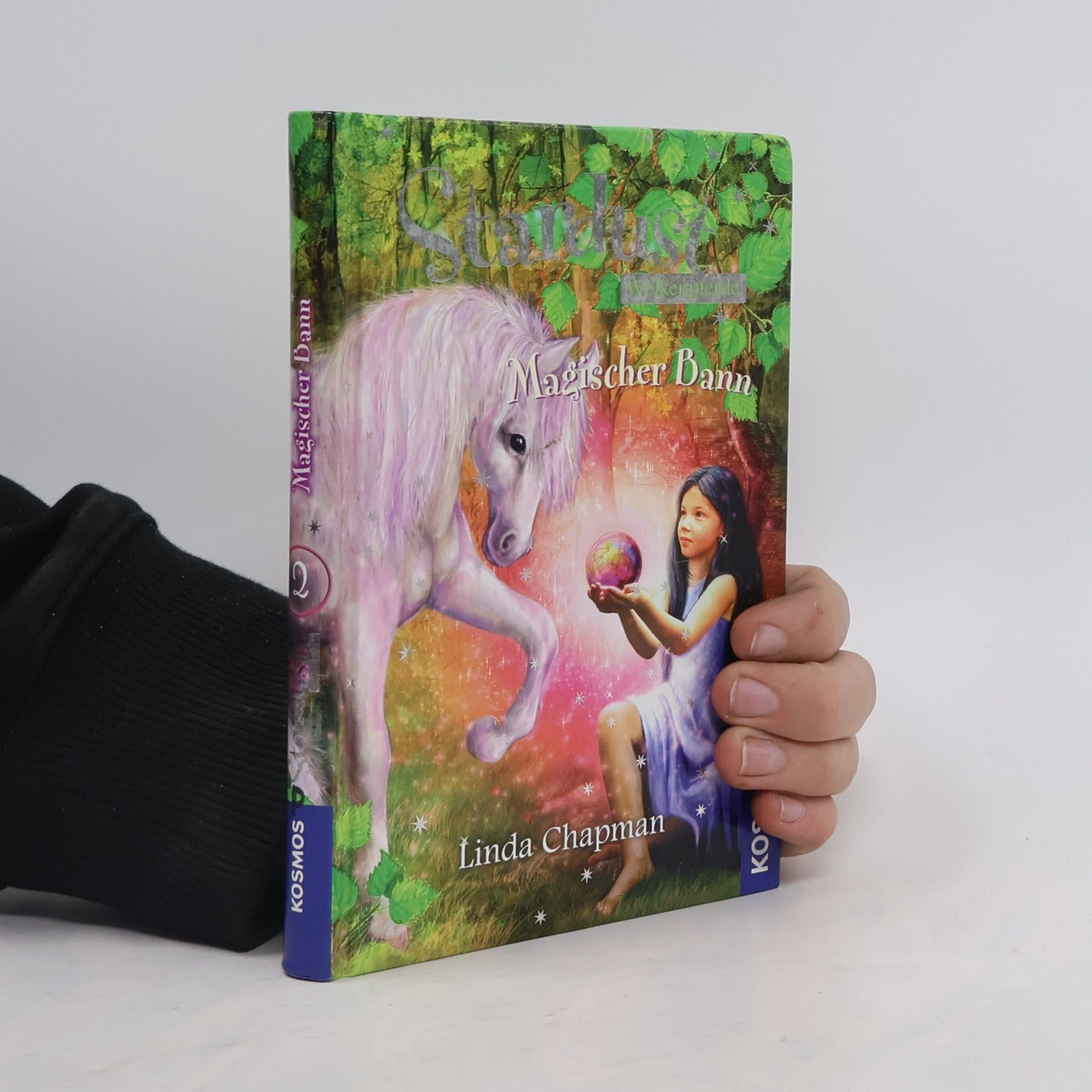 Linda Chapman Stardust: Magischer Bann