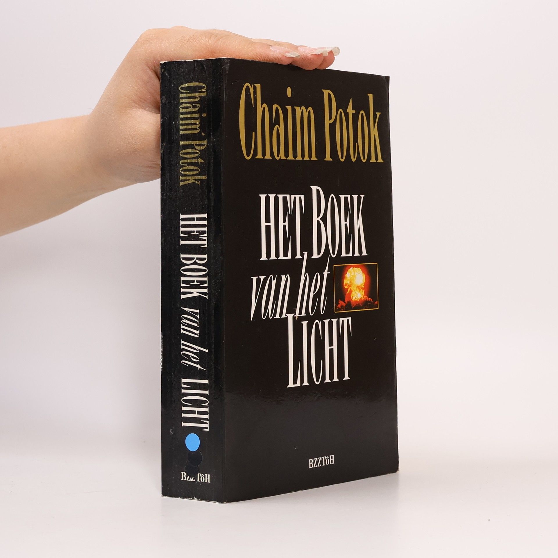 Chaim Potok Het boek van het licht