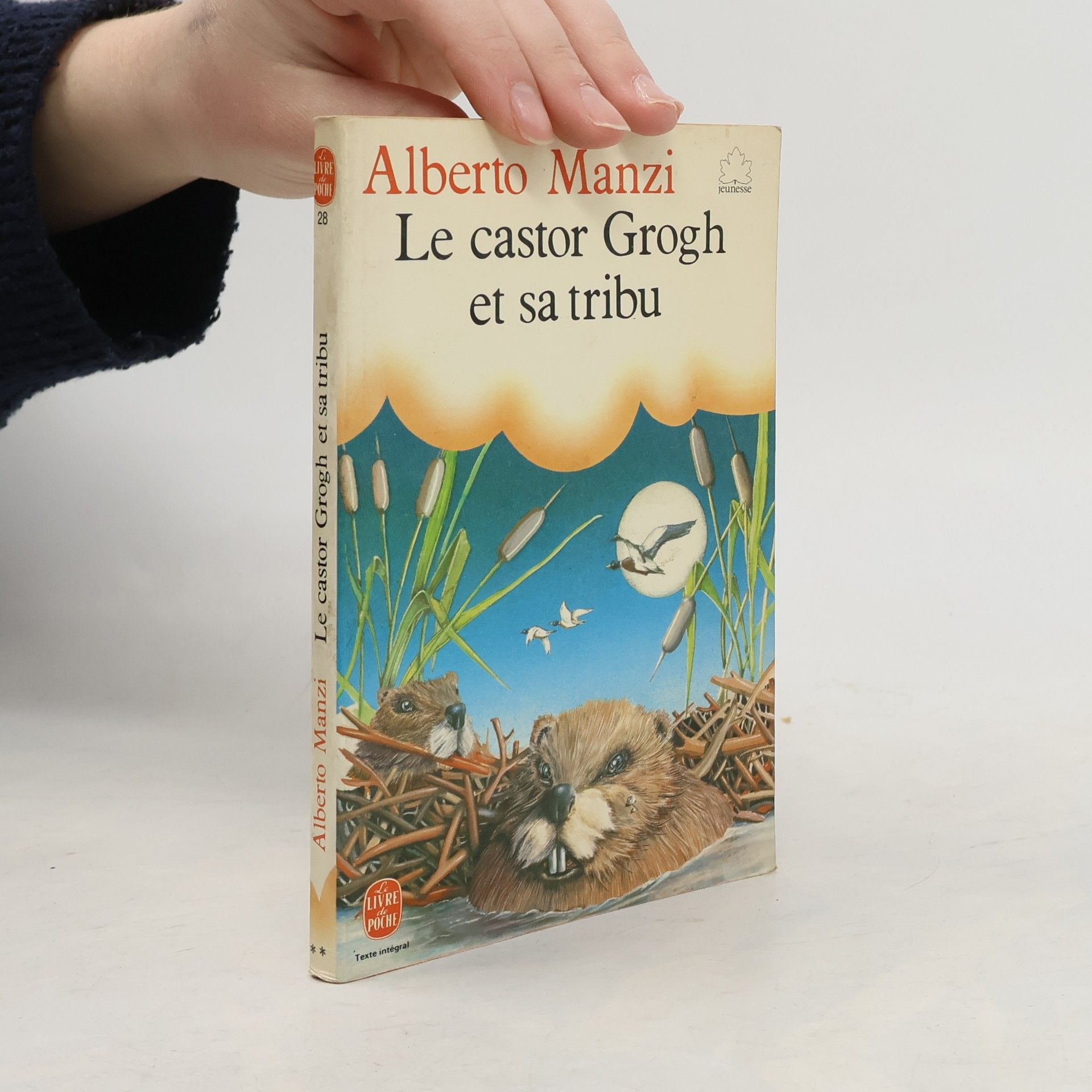 Alberto Manzi Le Castor Grogh et sa tribu