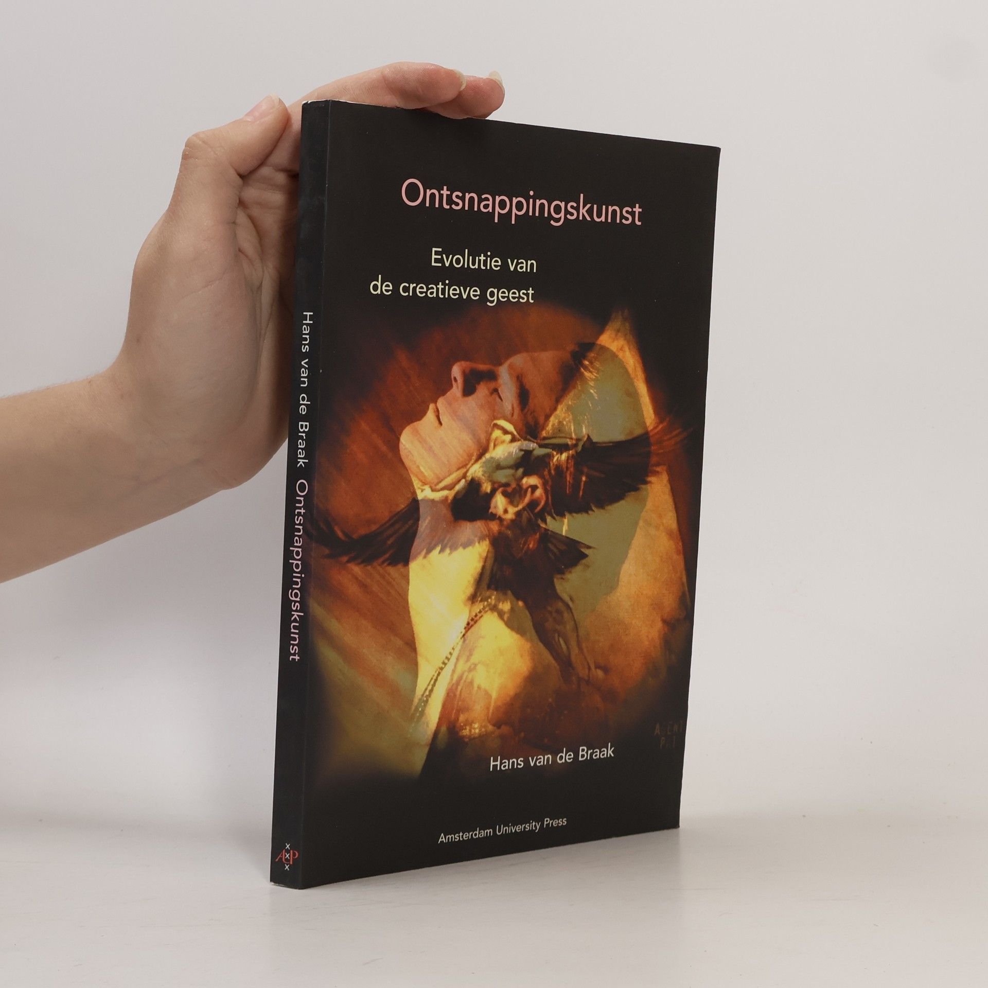 Hans van de Braak Ontsnappingskunst