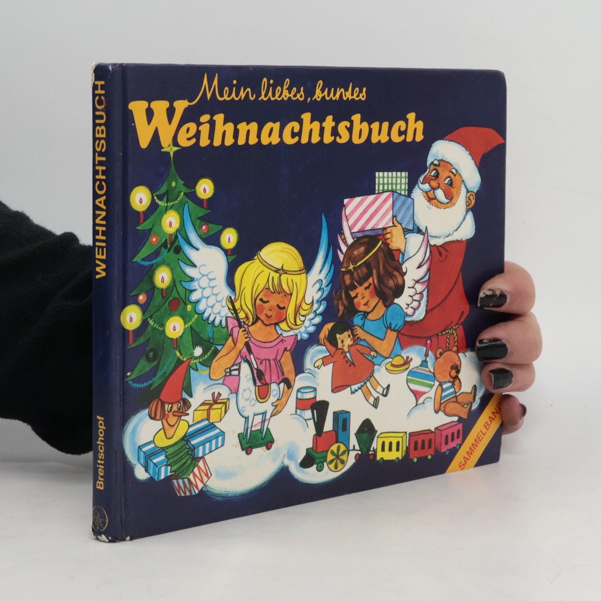 Helene Weilen Mein liebes, buntes Weihnachtsbuch. Sammelband.