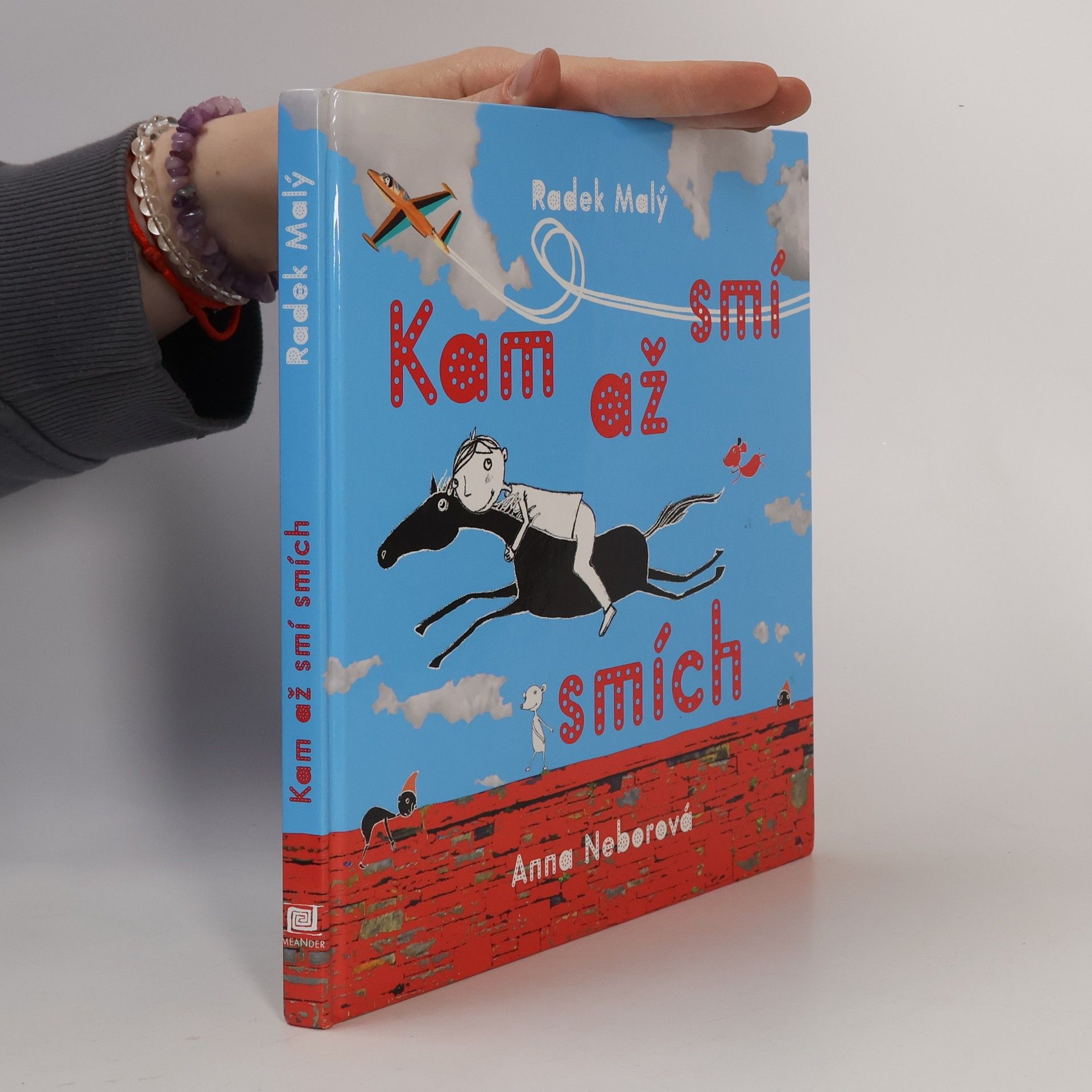 Radek Malý Kam až smí smích
