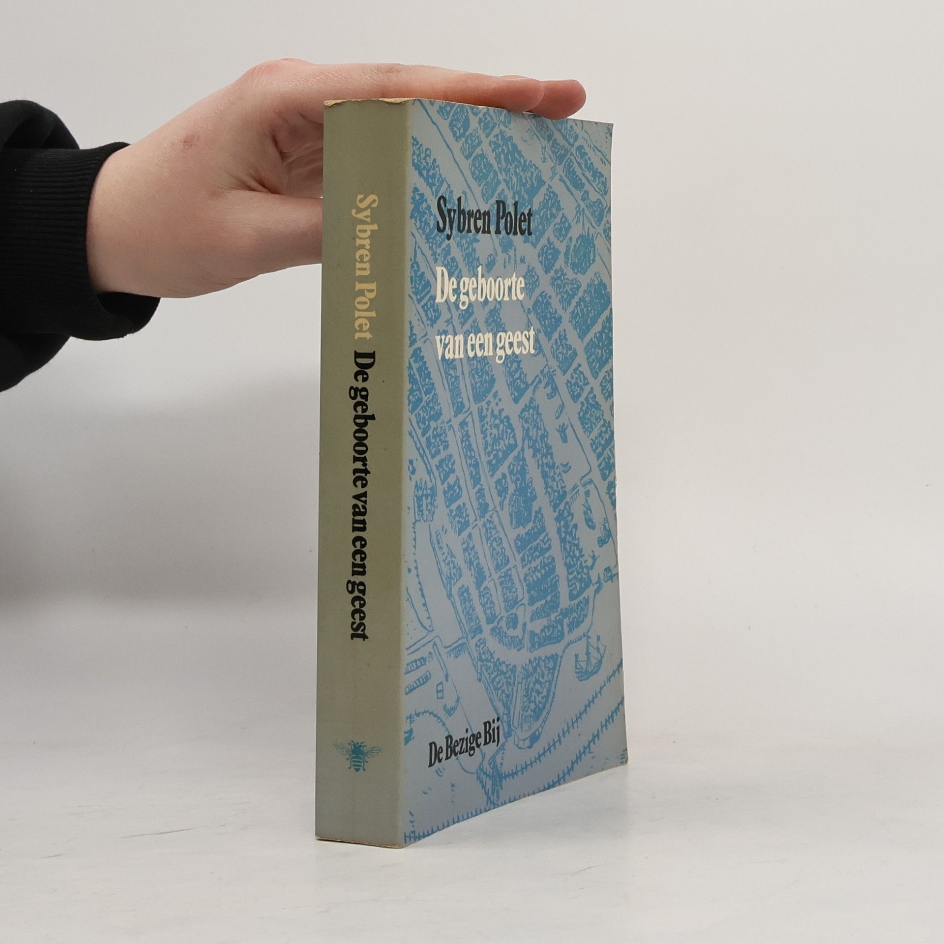 Sybren Polet De geboorte van een geest