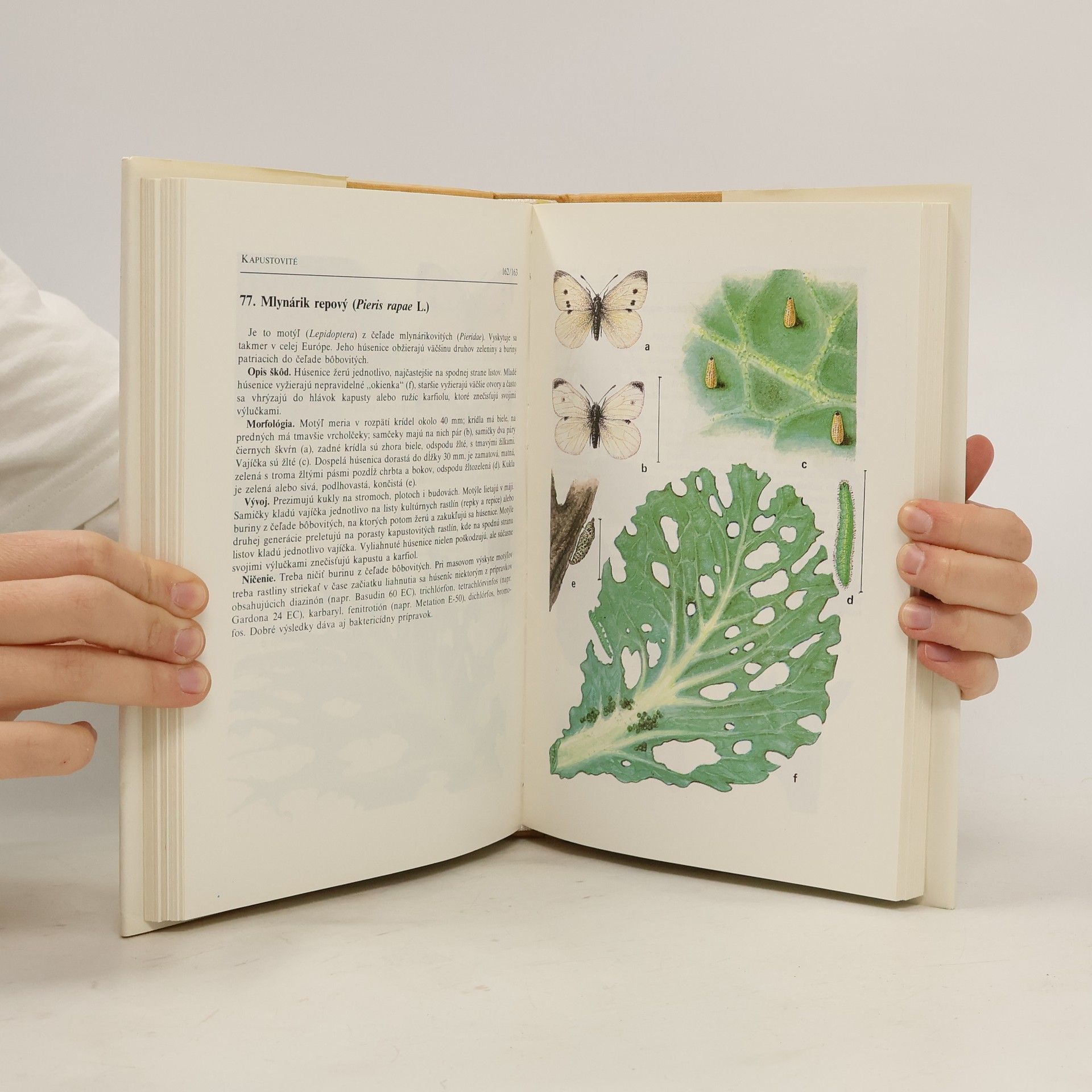 A. Studziňski Atlas chorôb a škodcov zeleniny