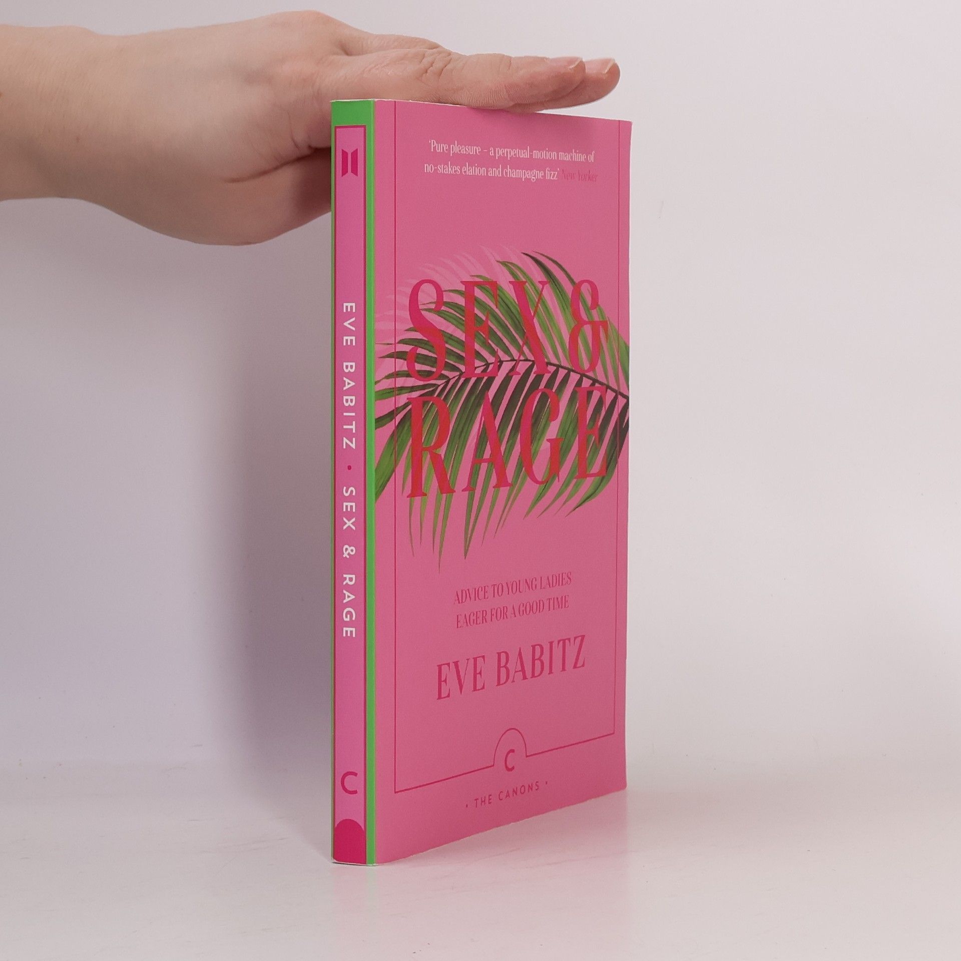 Eve Babitz Sex & Rage