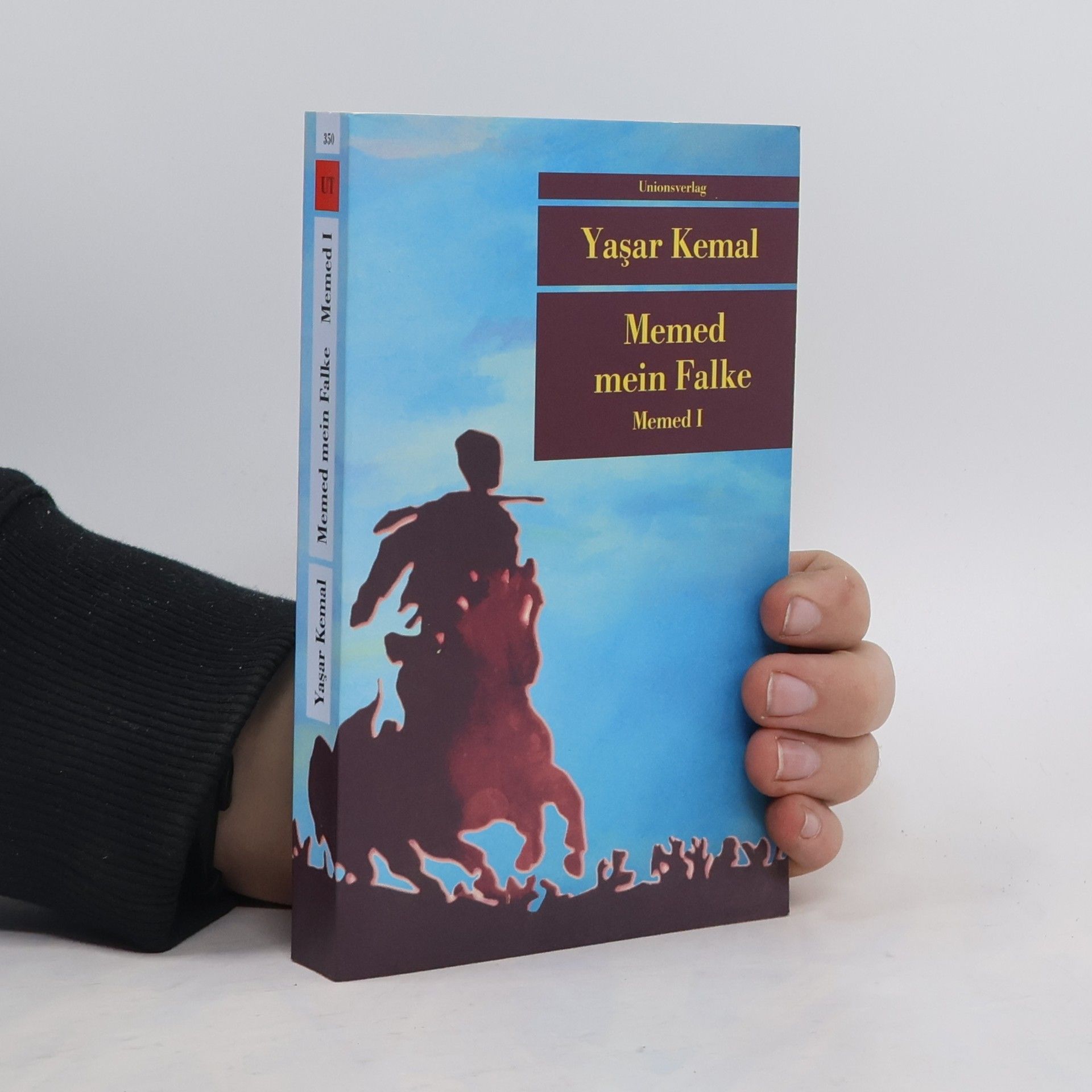 Yaşar Kemal Memed mein Falke. Memed I