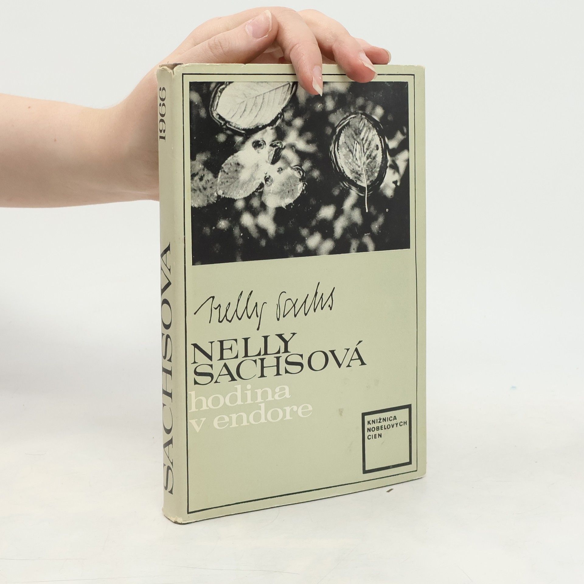 Nelly Sachsová Hodina v endore