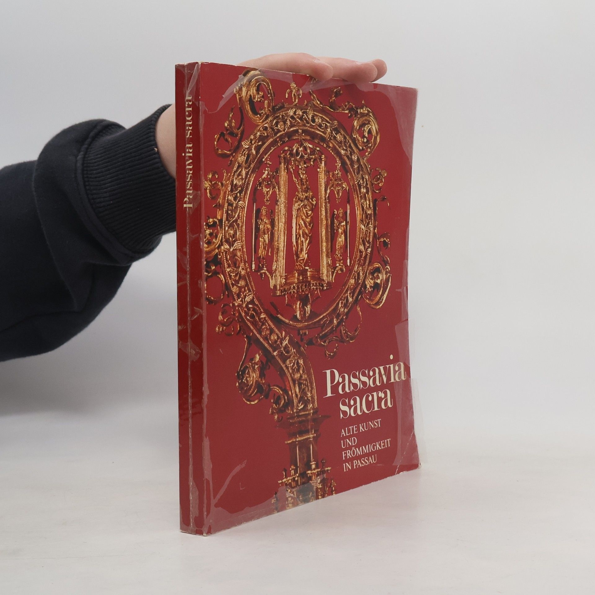 Auteurscollectief Passavia sacra. Alte Kunst und Frömmigkeit in Passau
