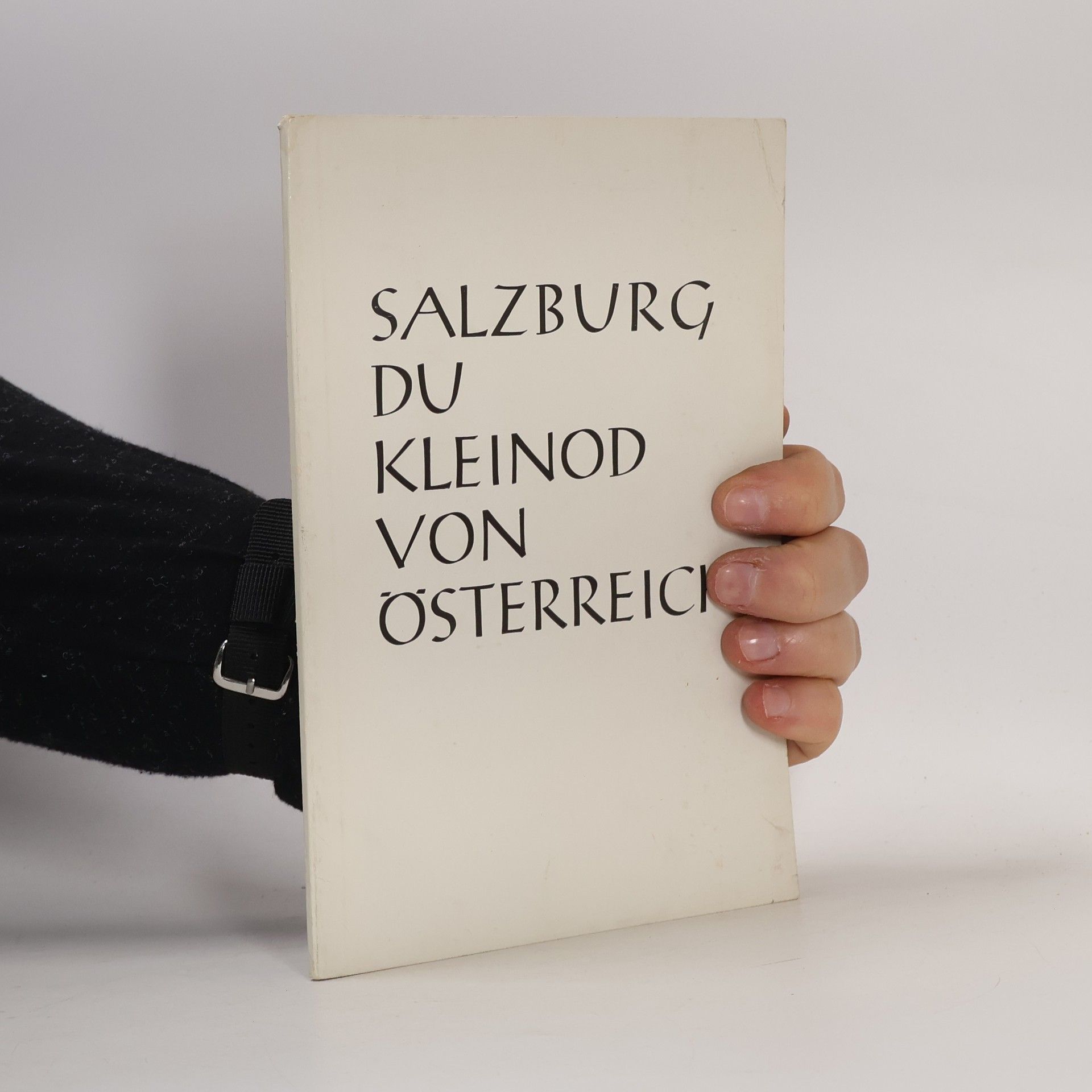 Matthias Laireiter Salzburg, du Kleinod von Österreich