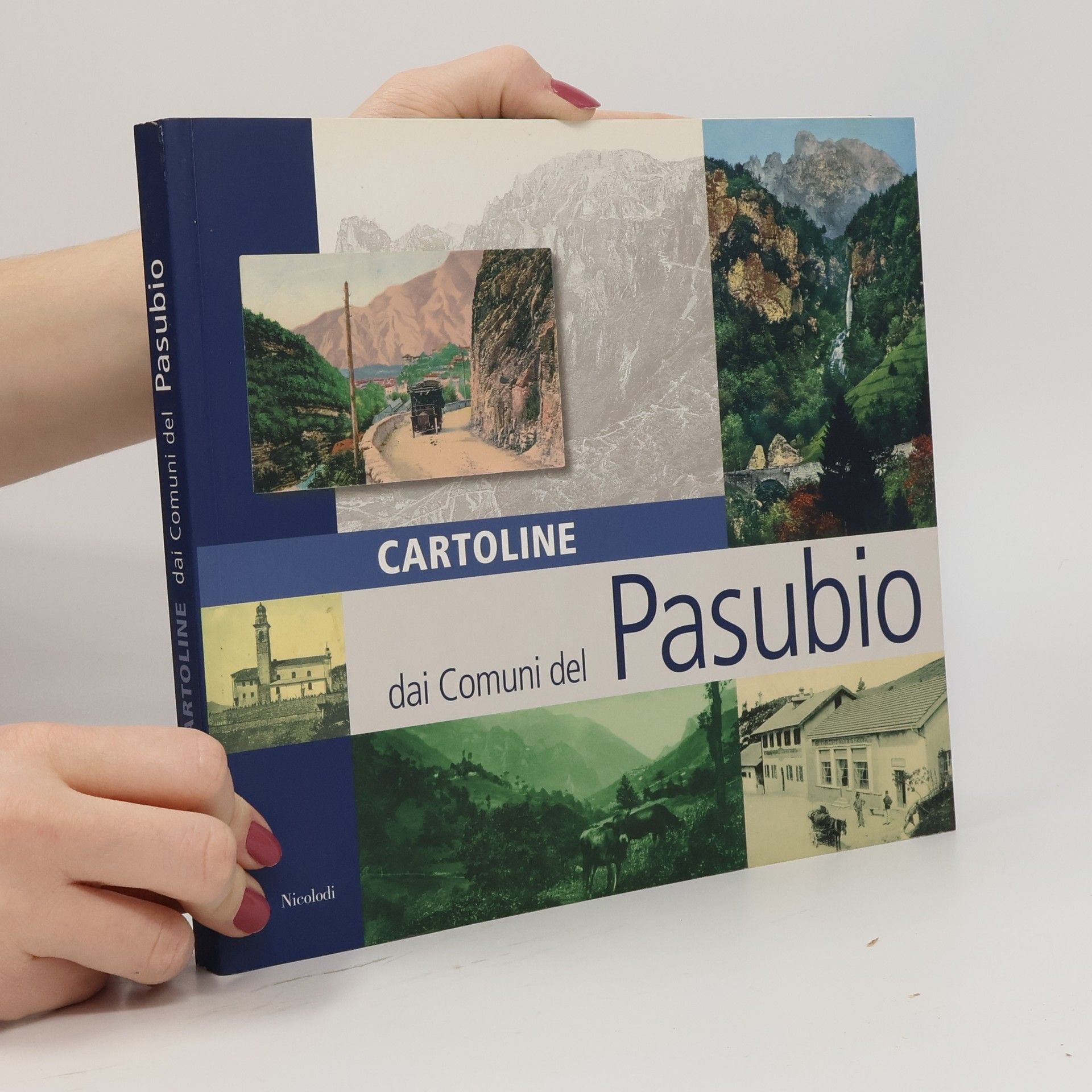 Antonio Passerini Cartoline dai comuni del Pasubio