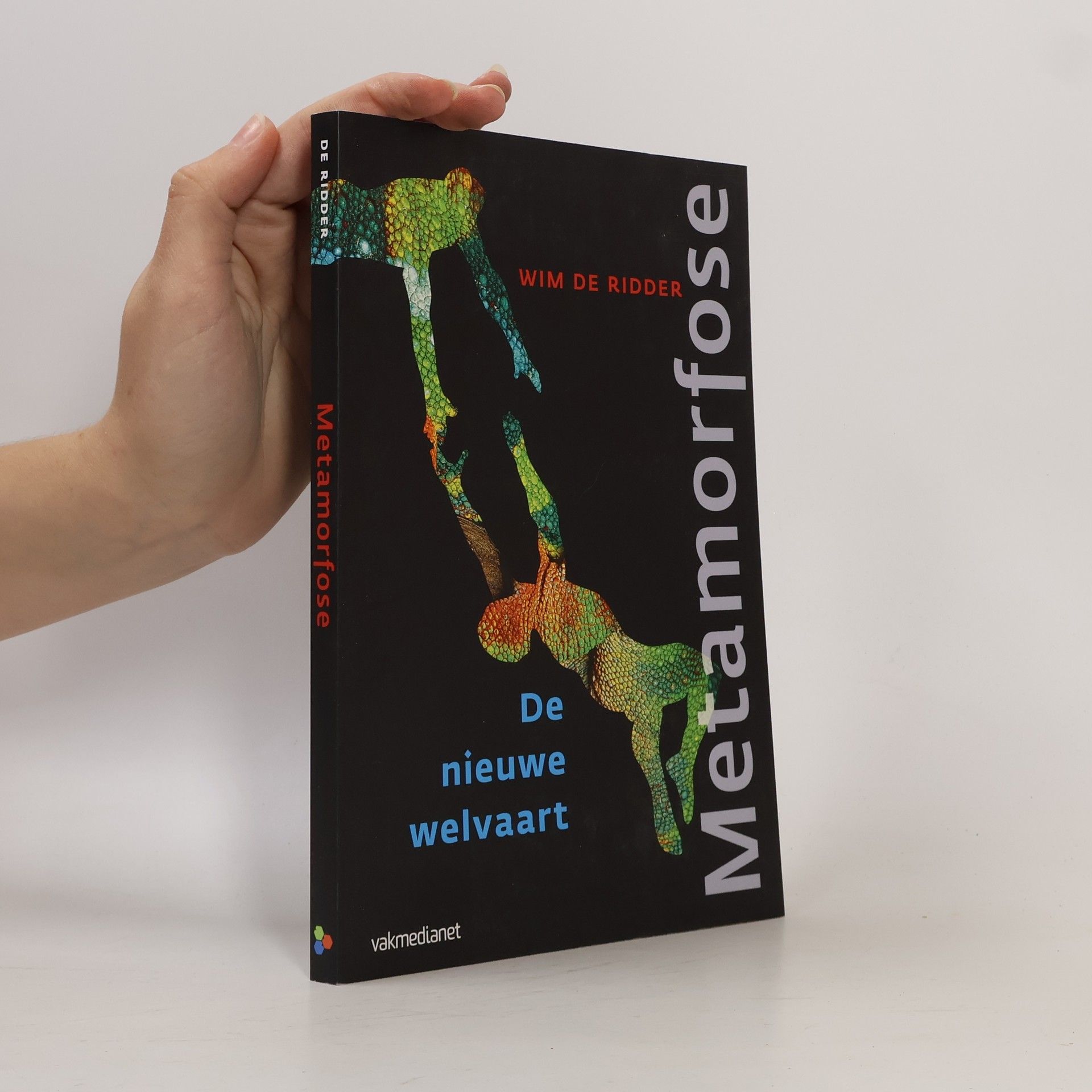 Willem Jan de Ridder Metamorfose