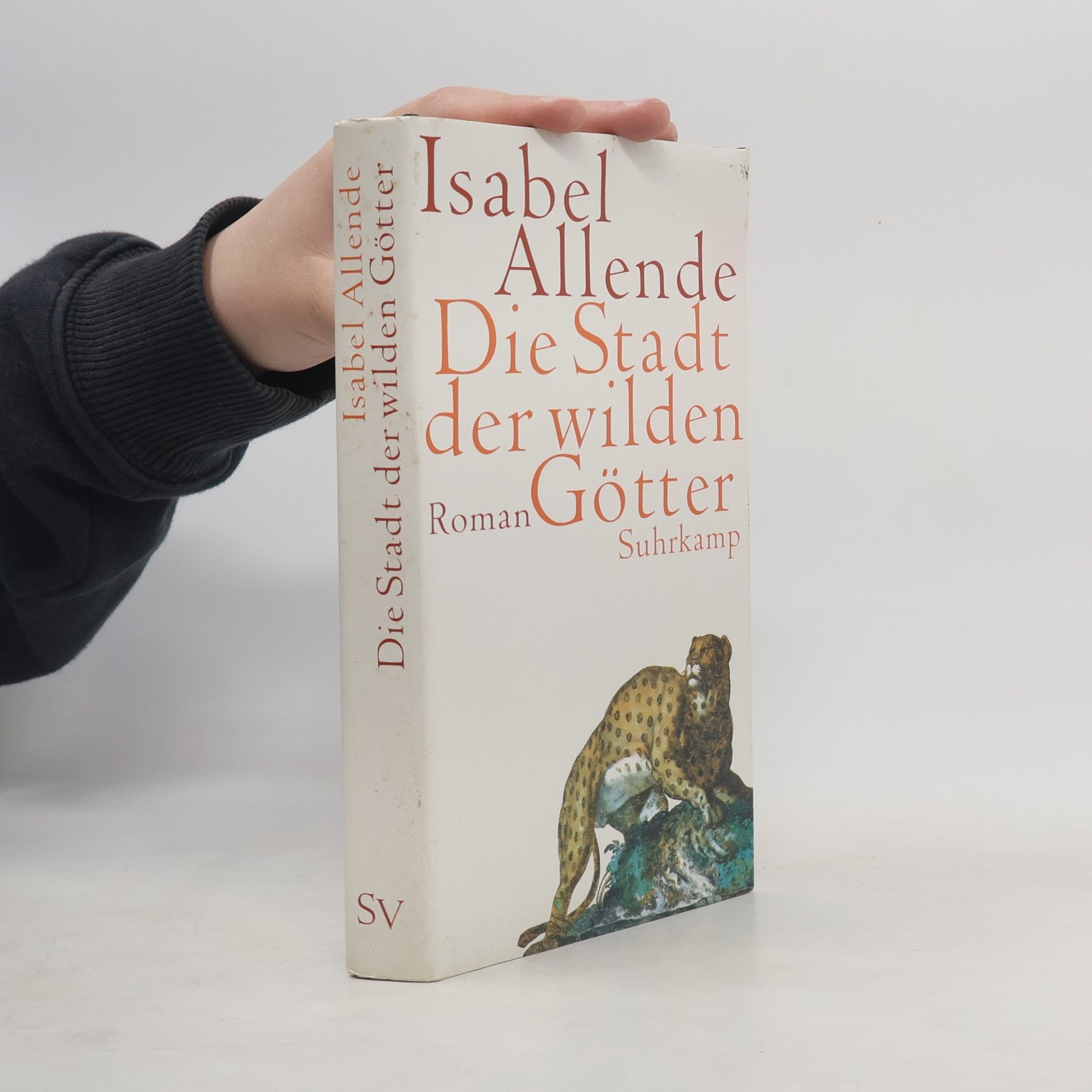 Isabel Allende Die Stadt der wilden Götter