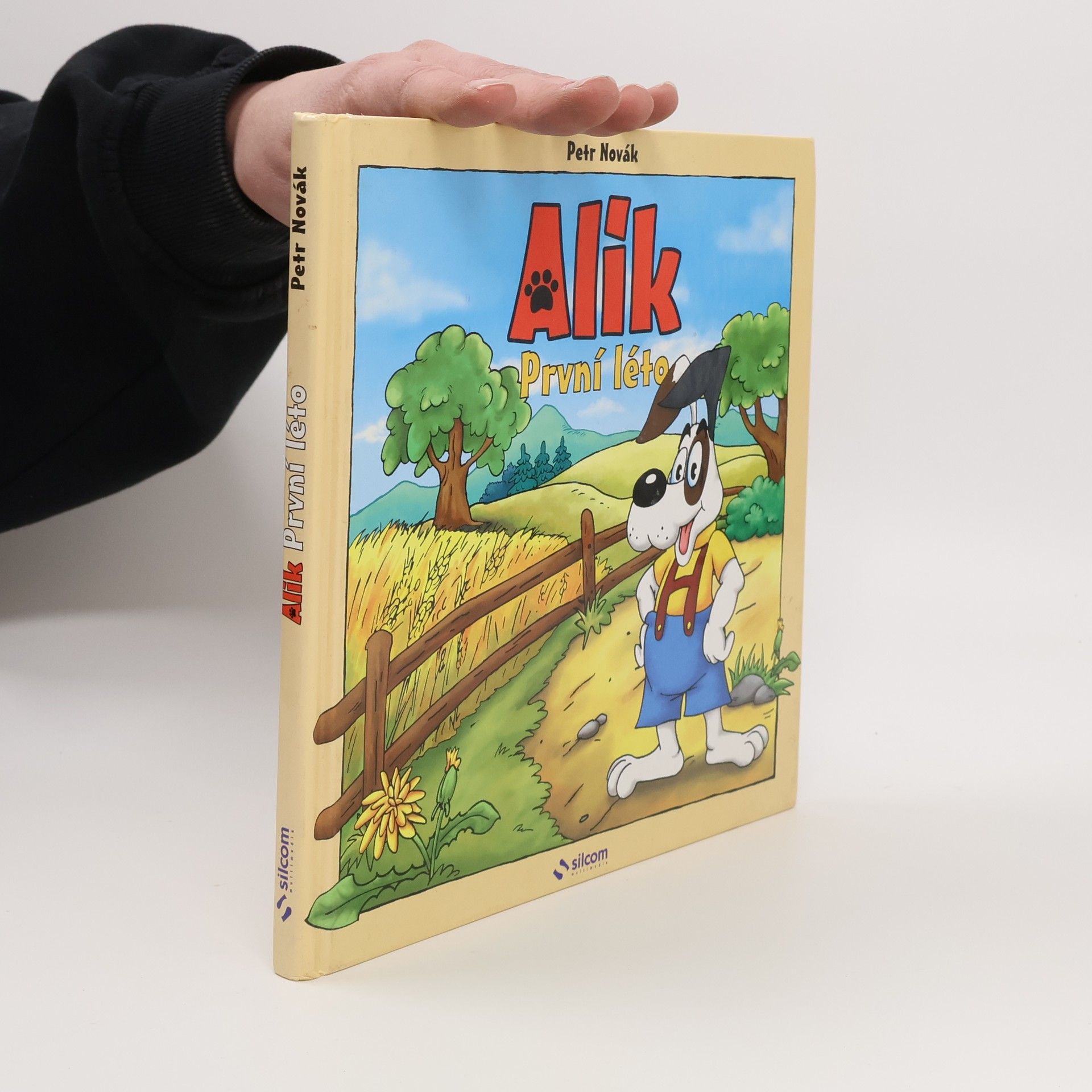 Petr Novák Alík. První léto