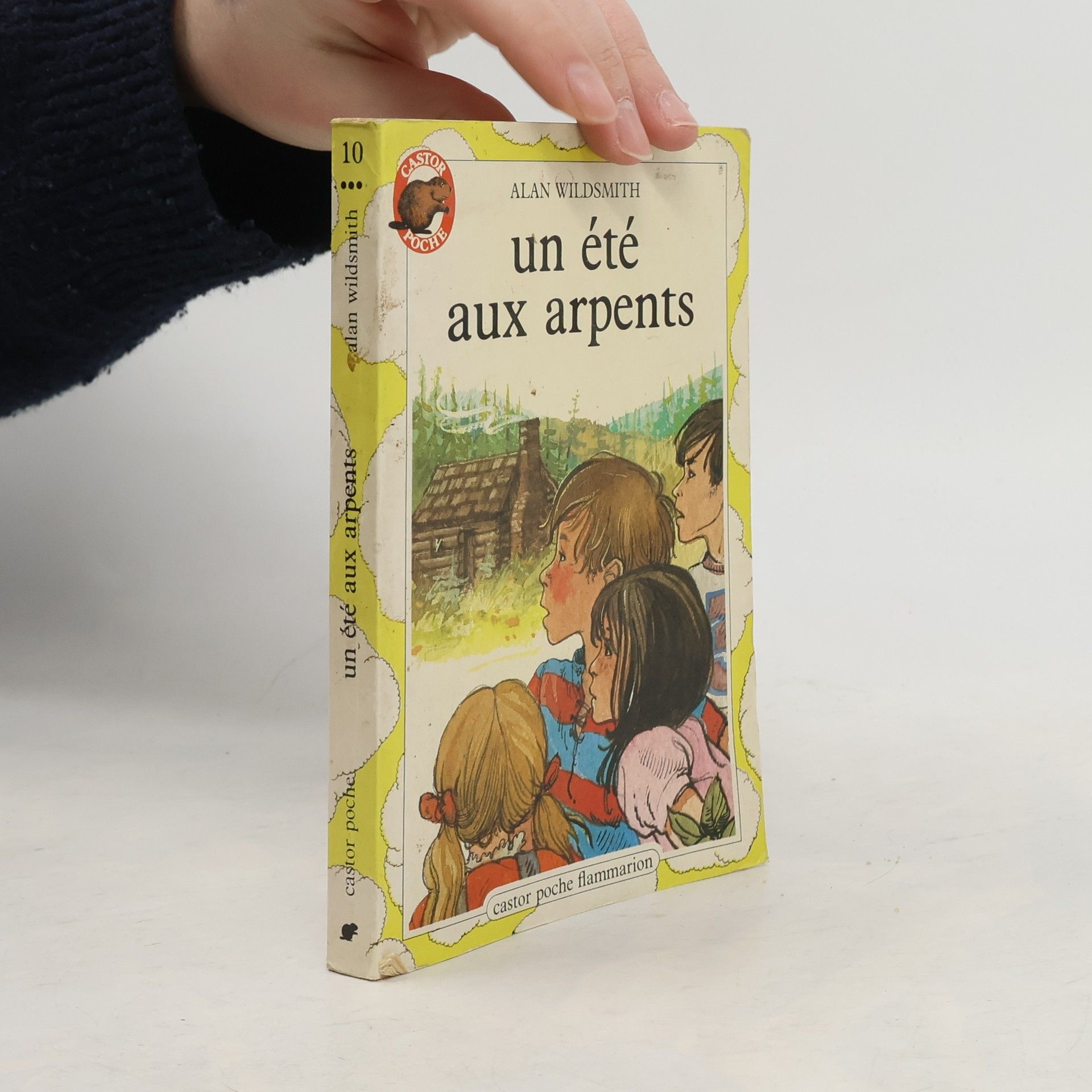Alan Wildsmith Un été aux Arpents