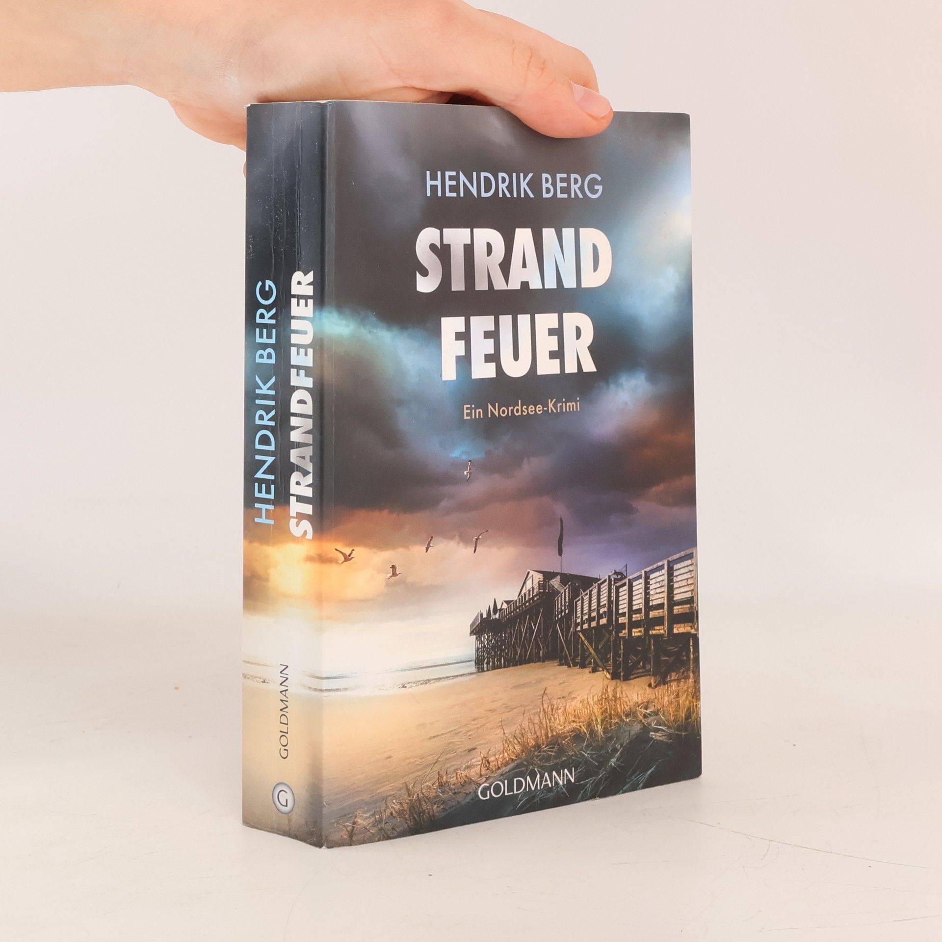 Hendrik Berg Strandfeuer