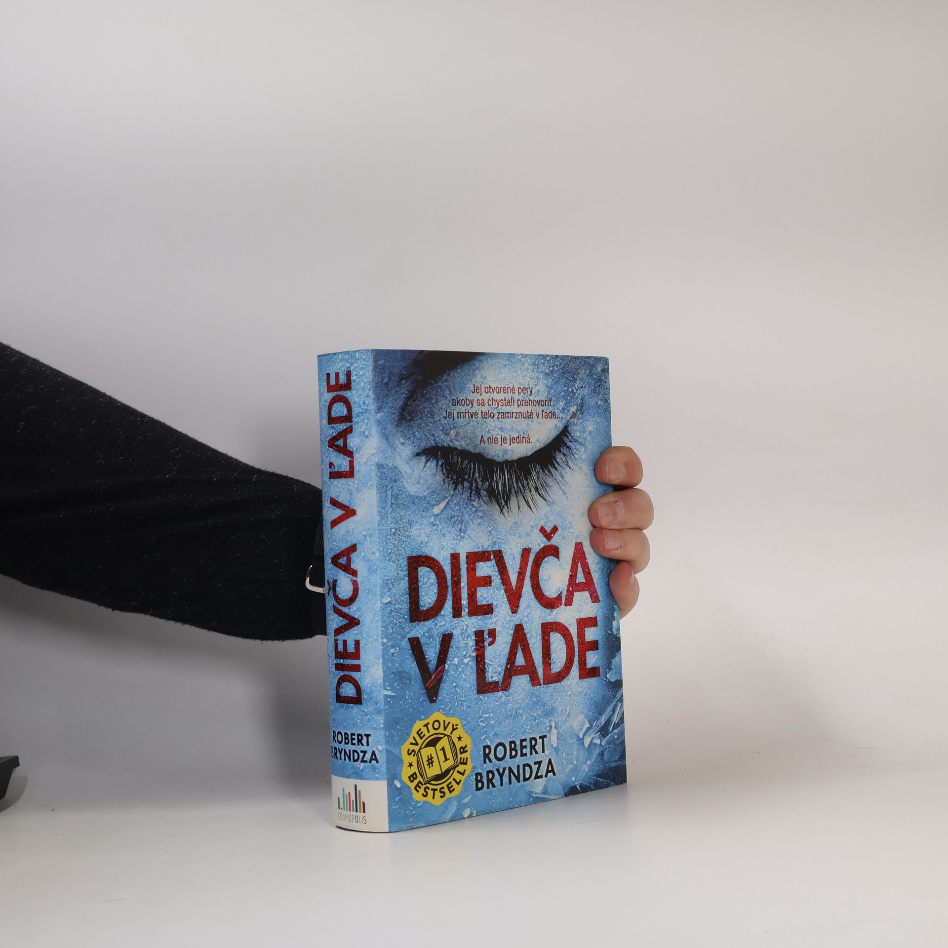 Robert Bryndza Dievča v ľade