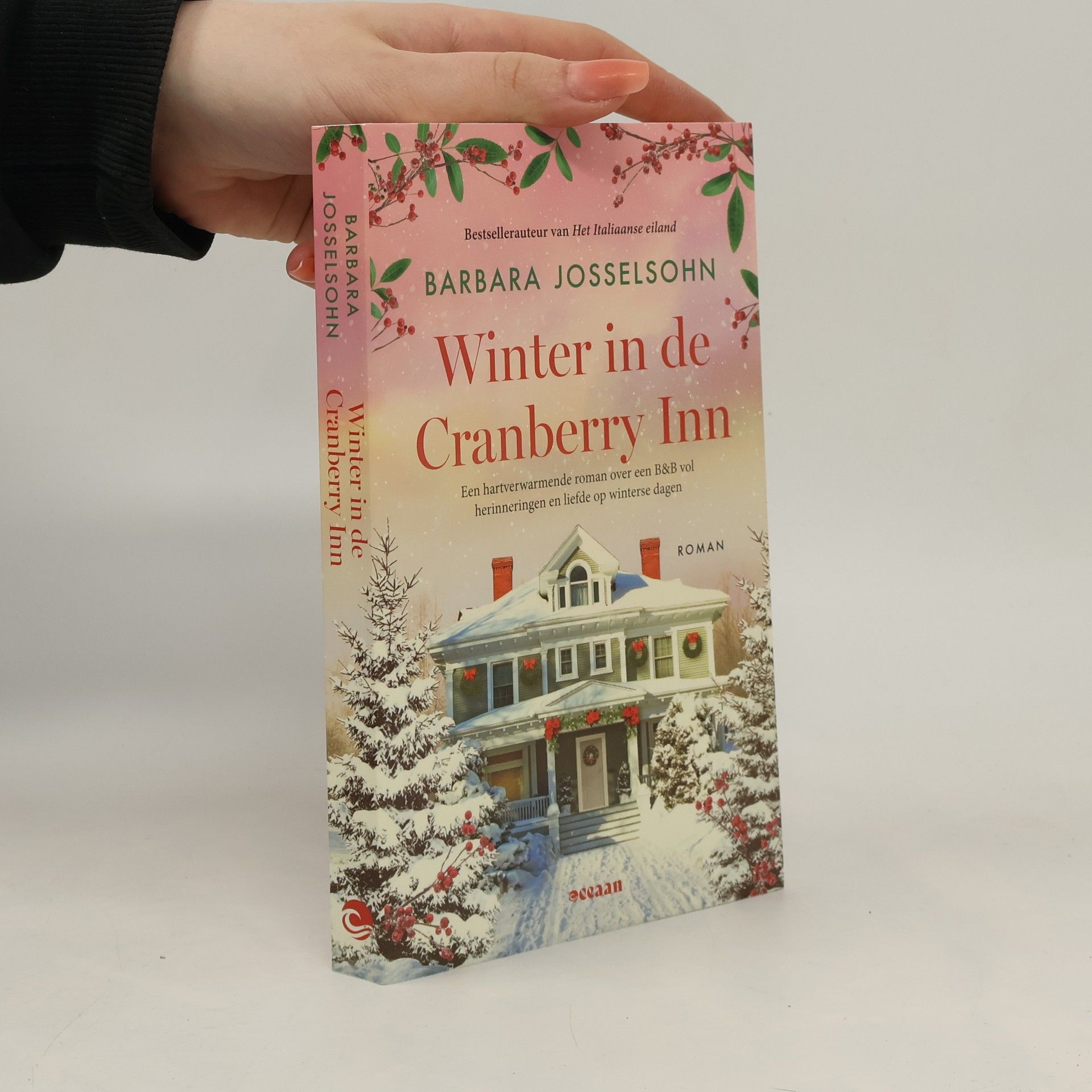 Barbara Josselsohn Winter in de Cranberry Inn