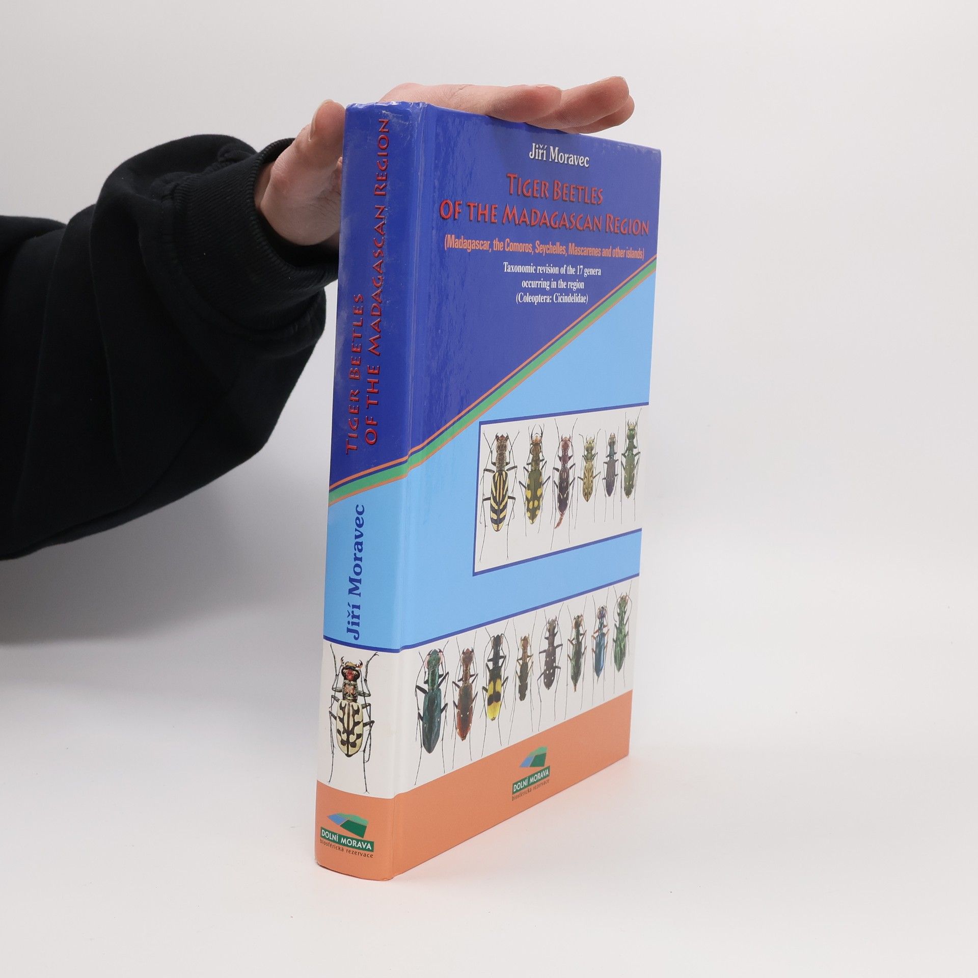 Tiger Beetles of the Madagascar Region (Madagascar, Seychelles, Comoros, Mascarenes, and Other Islands)