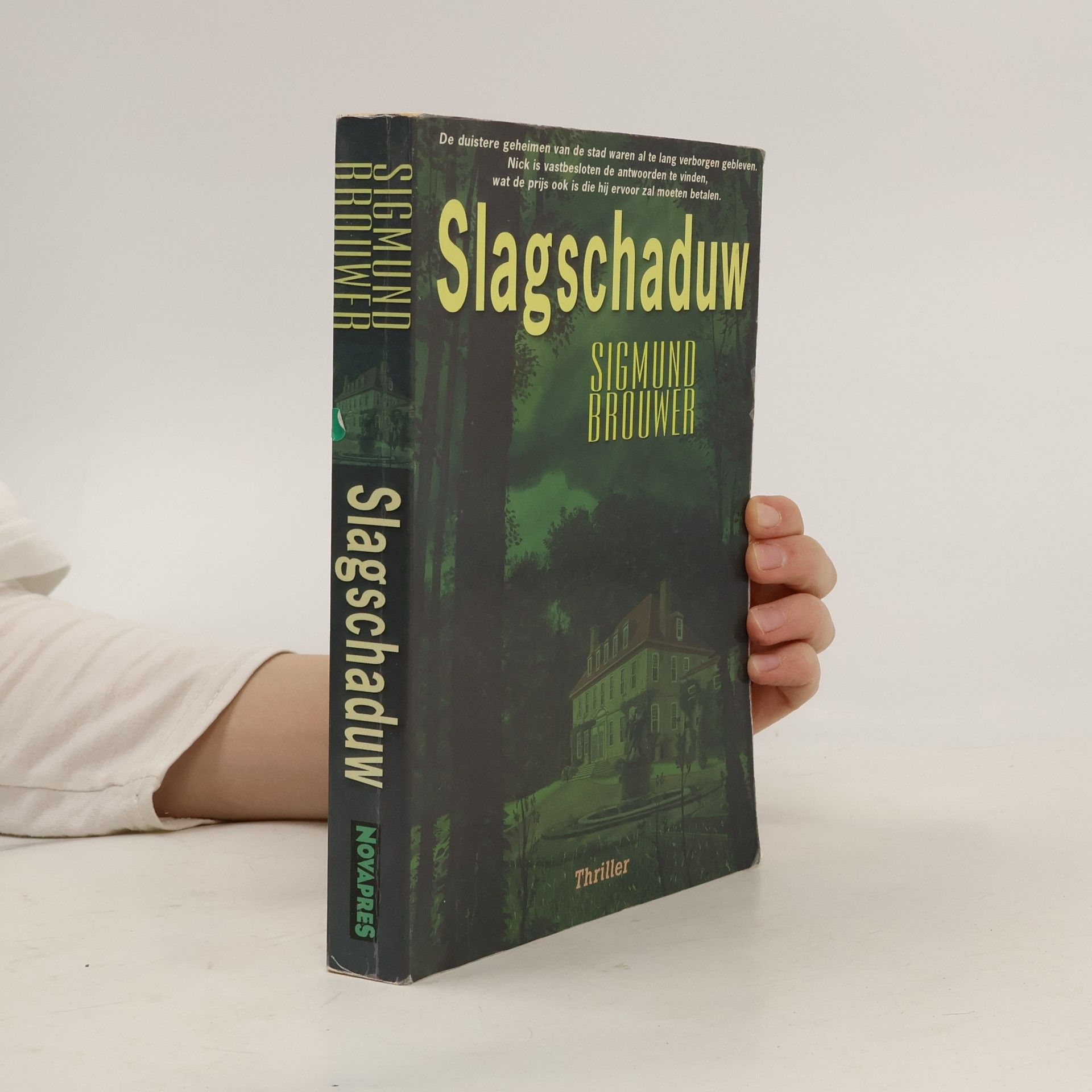 Willem Keesmaat Slagschaduw