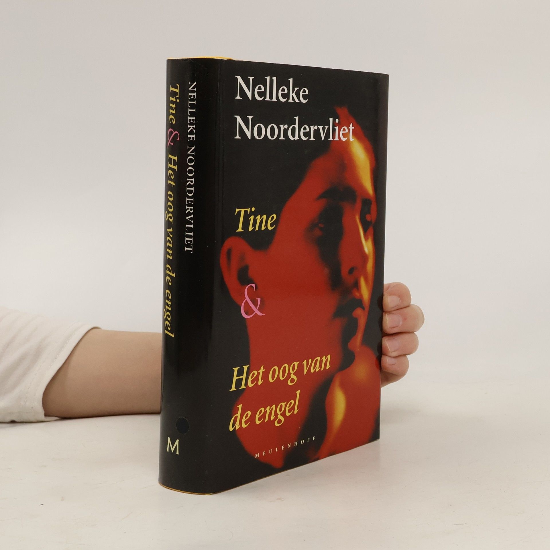 Nelleke Noordervliet Tine & Het oog van de engel