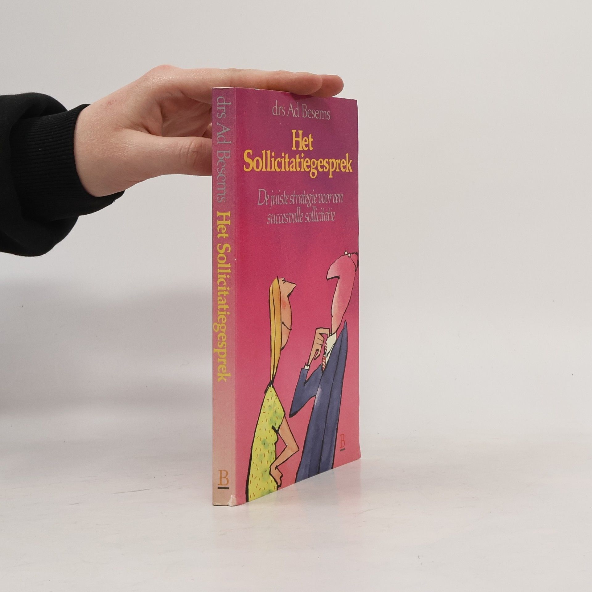 Ad Besems Het sollicitatiegesprek