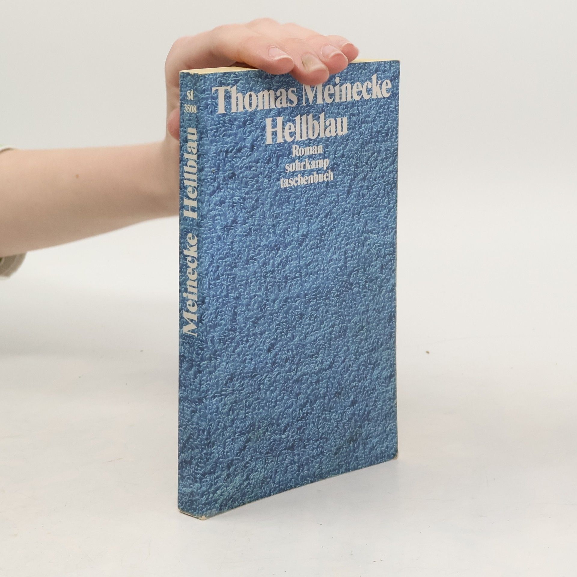 Thomas Meinecke Hellblau