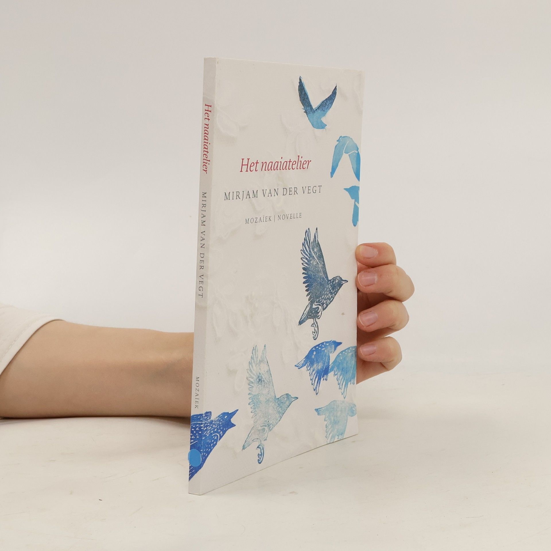 Mirjam Van Der Vegt Het naaiatelier