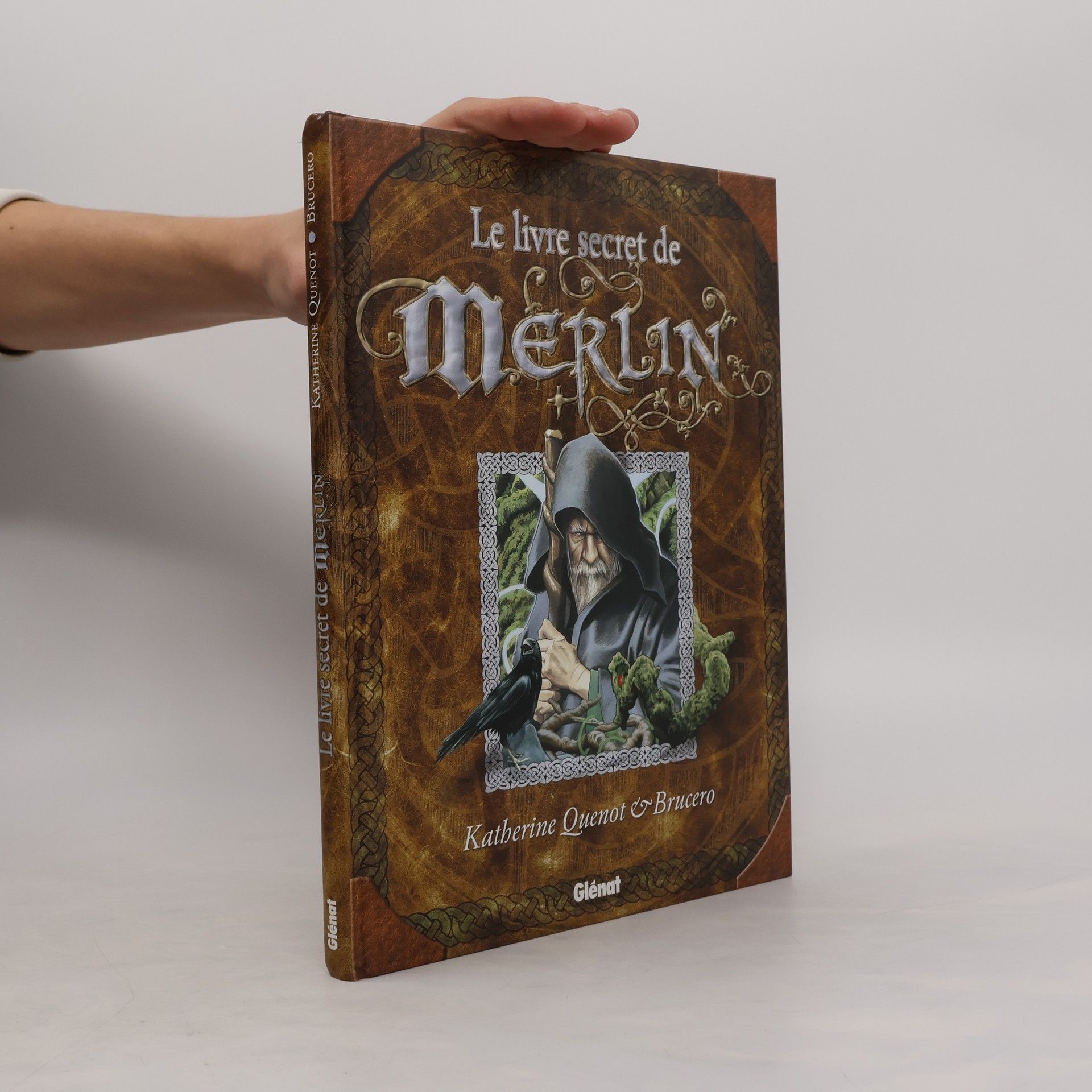 Brucero Le livre secret de Merlin