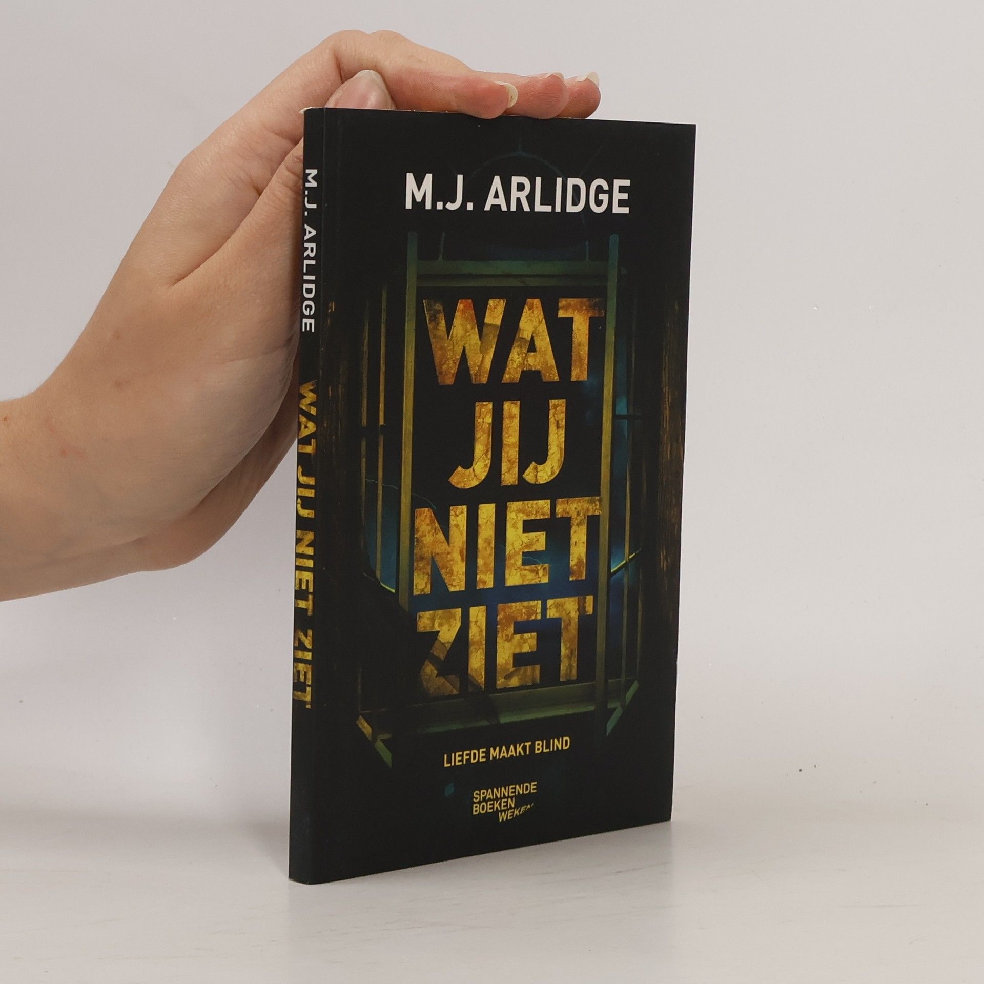 M. J. Arlidge Wat jij niet ziet