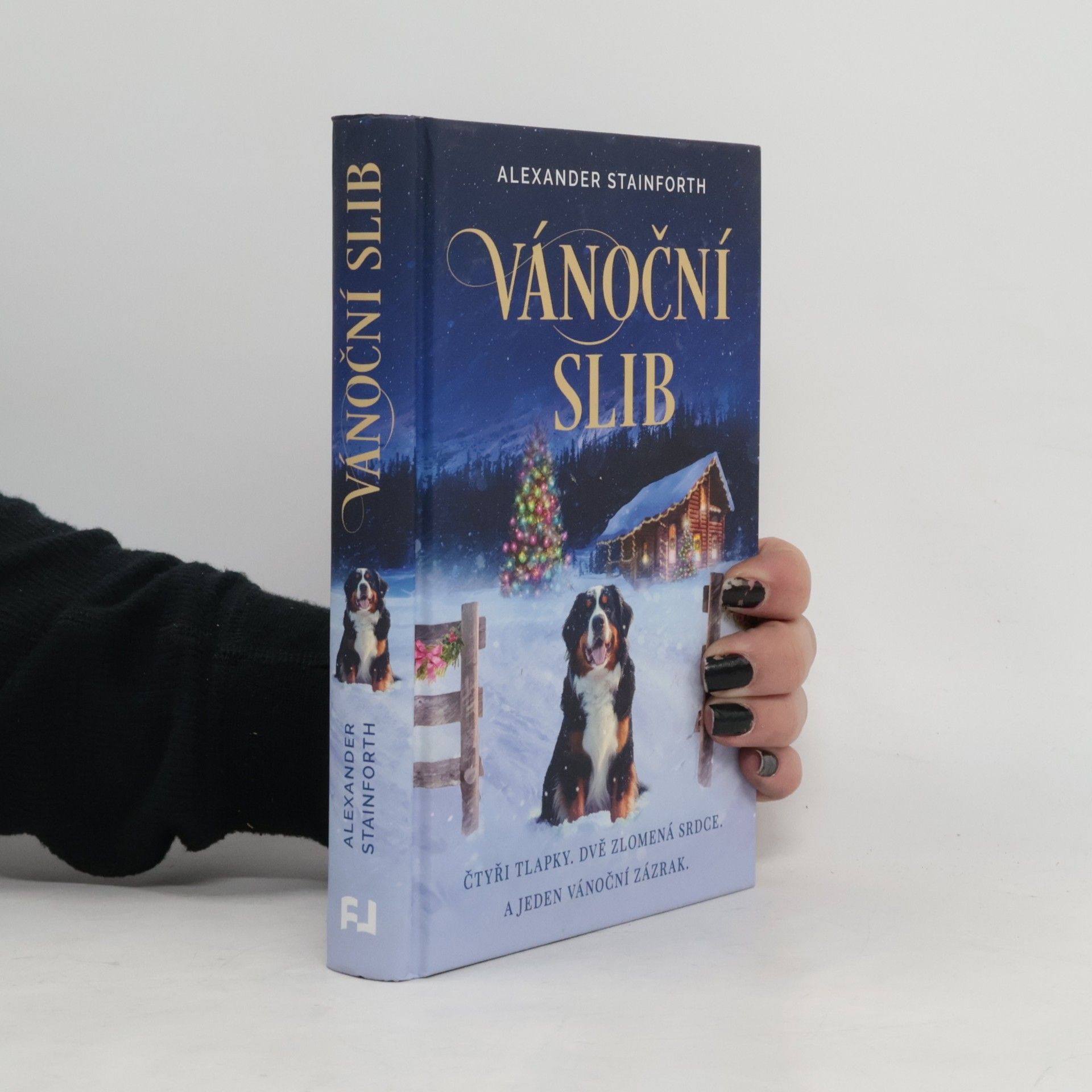 Alexander Stainforth Vánoční slib