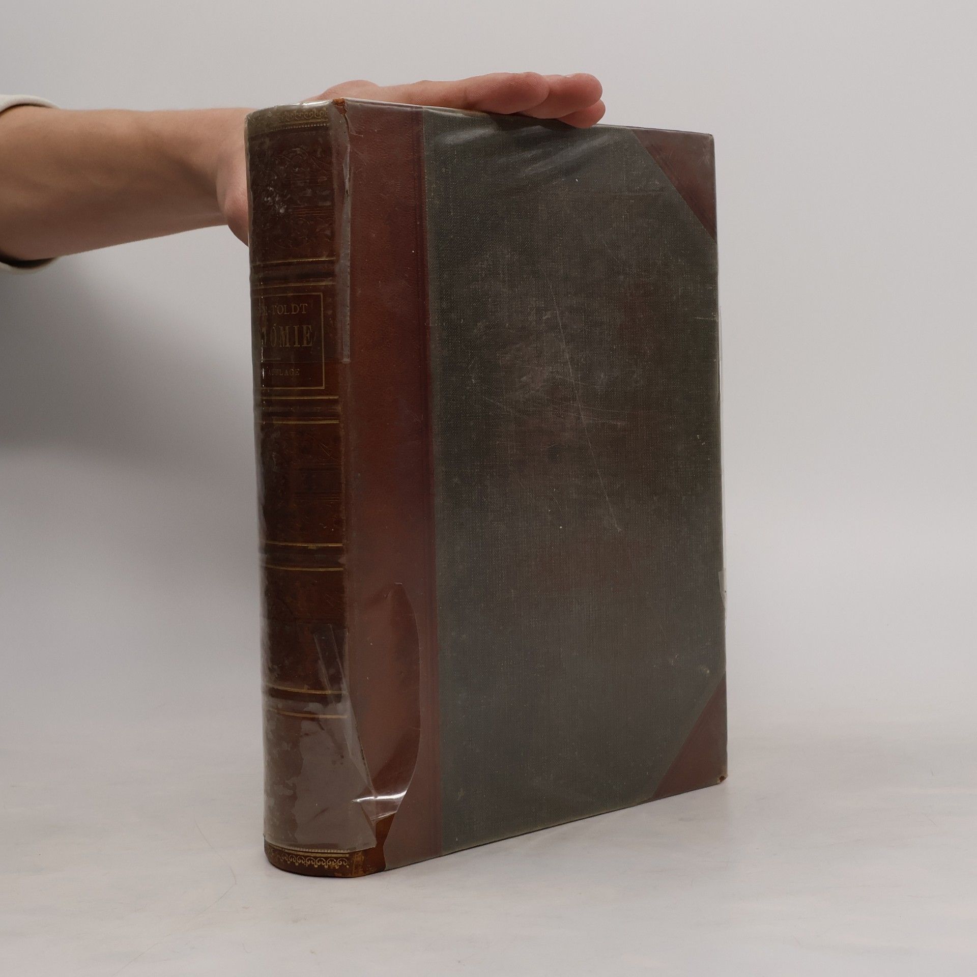 Carl Langer Lehrbuch der Systematischen und Topographischen Anatomie