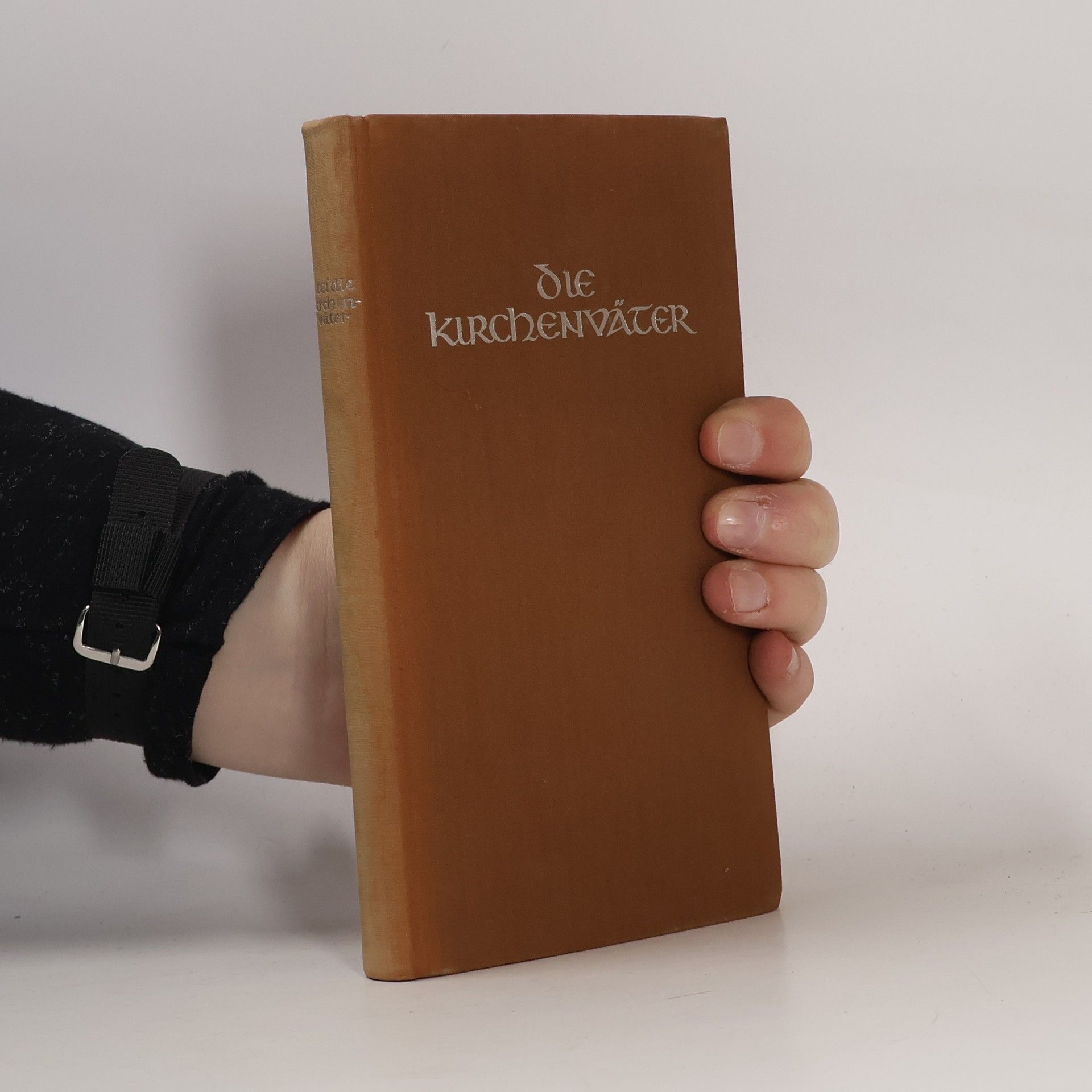 Basilius Steidle Die Kirchenväter