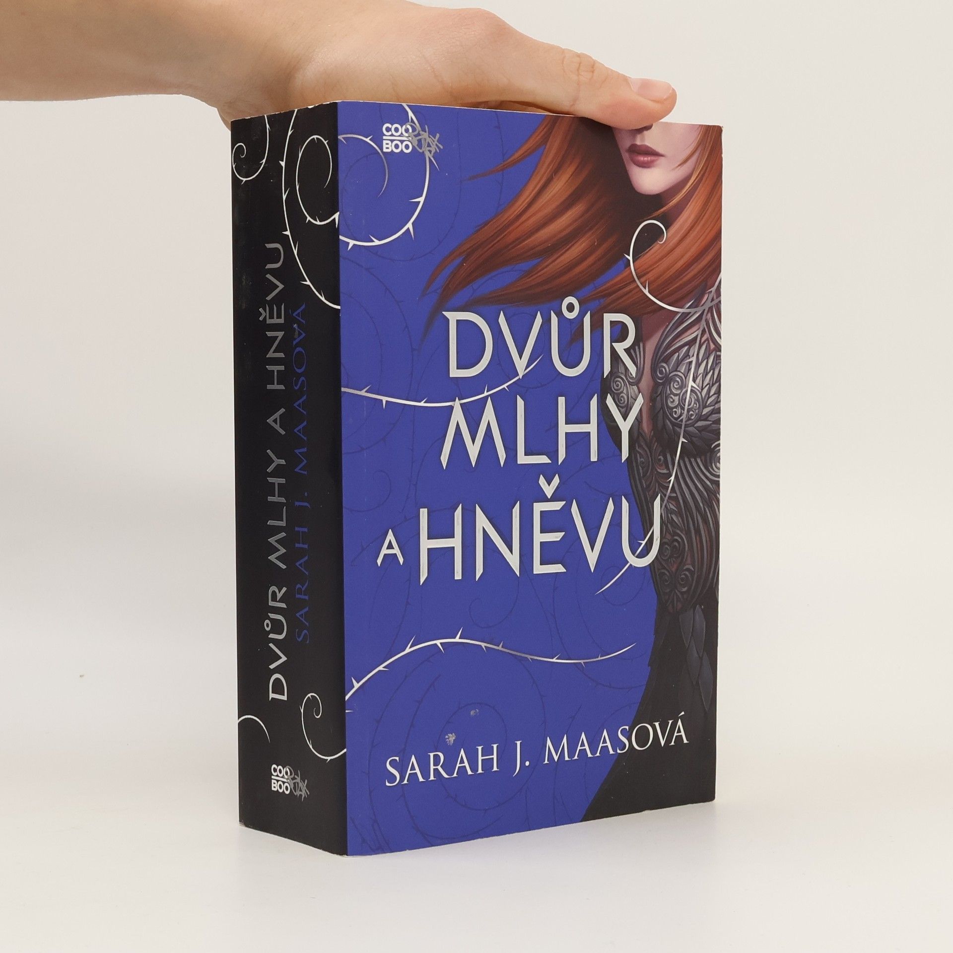 Dvůr mlhy a hněvu