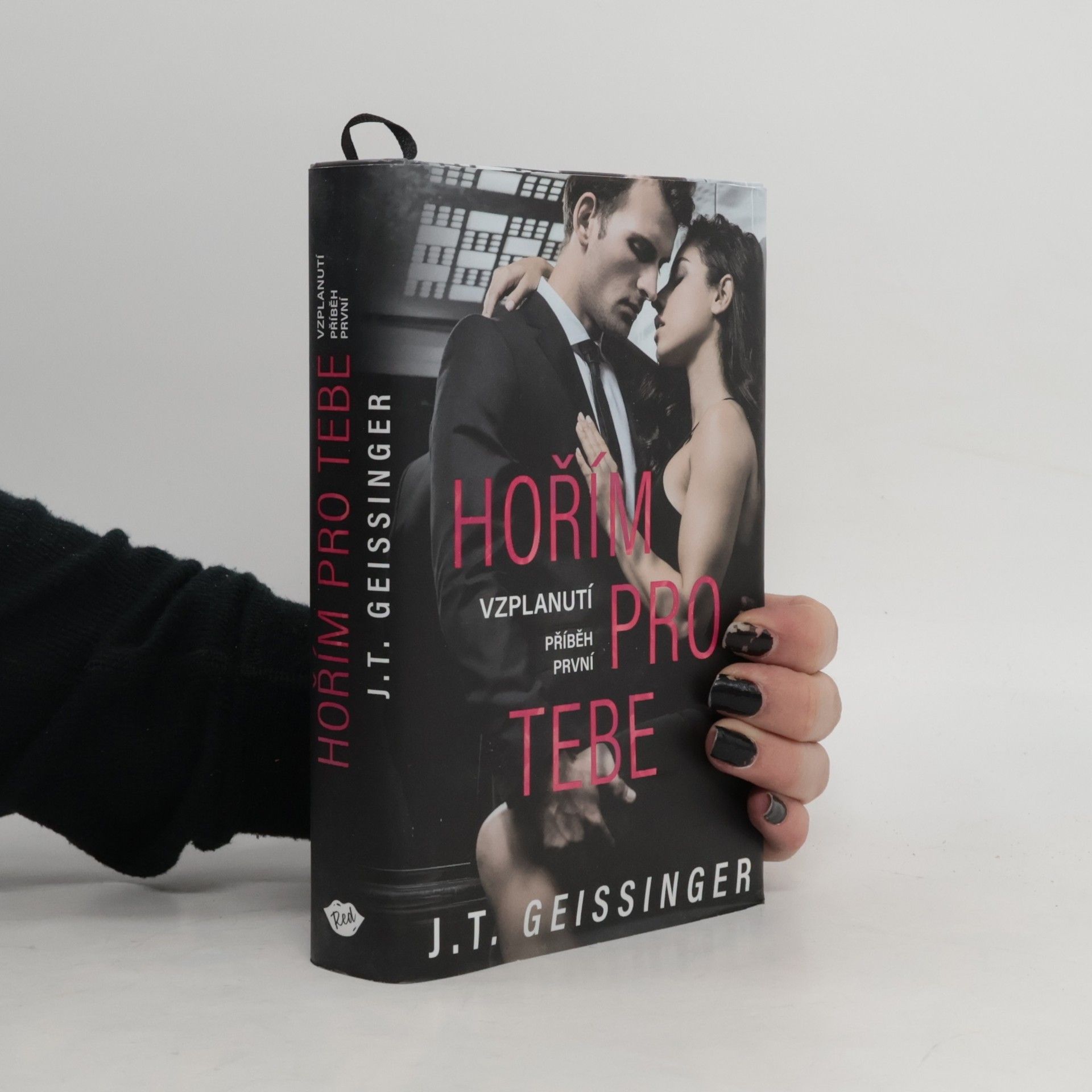 J. T. Geissinger Hořím pro tebe. Příběh první, Vzplanutí