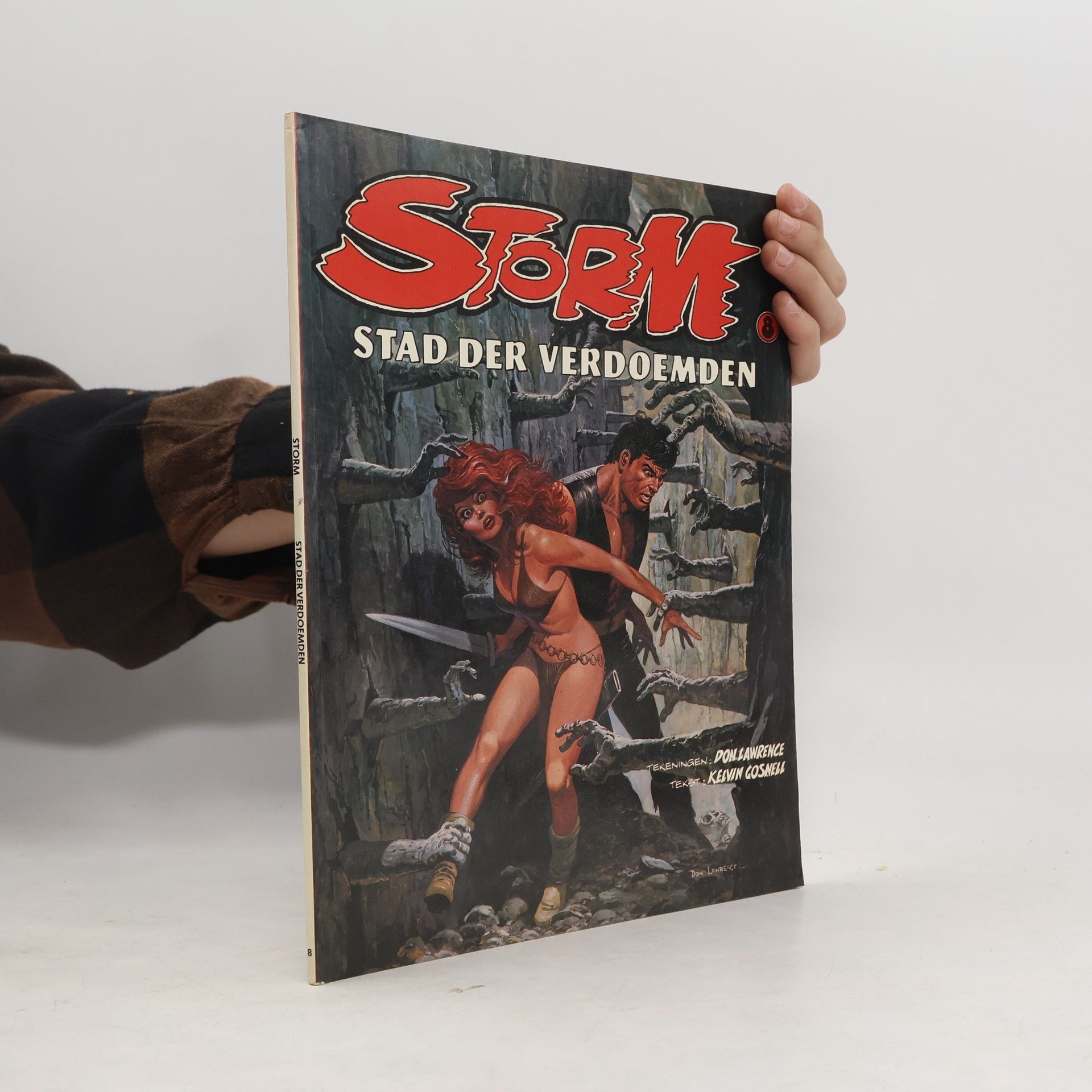 Don Lawrence Storm - 8: Stad der verdoemden