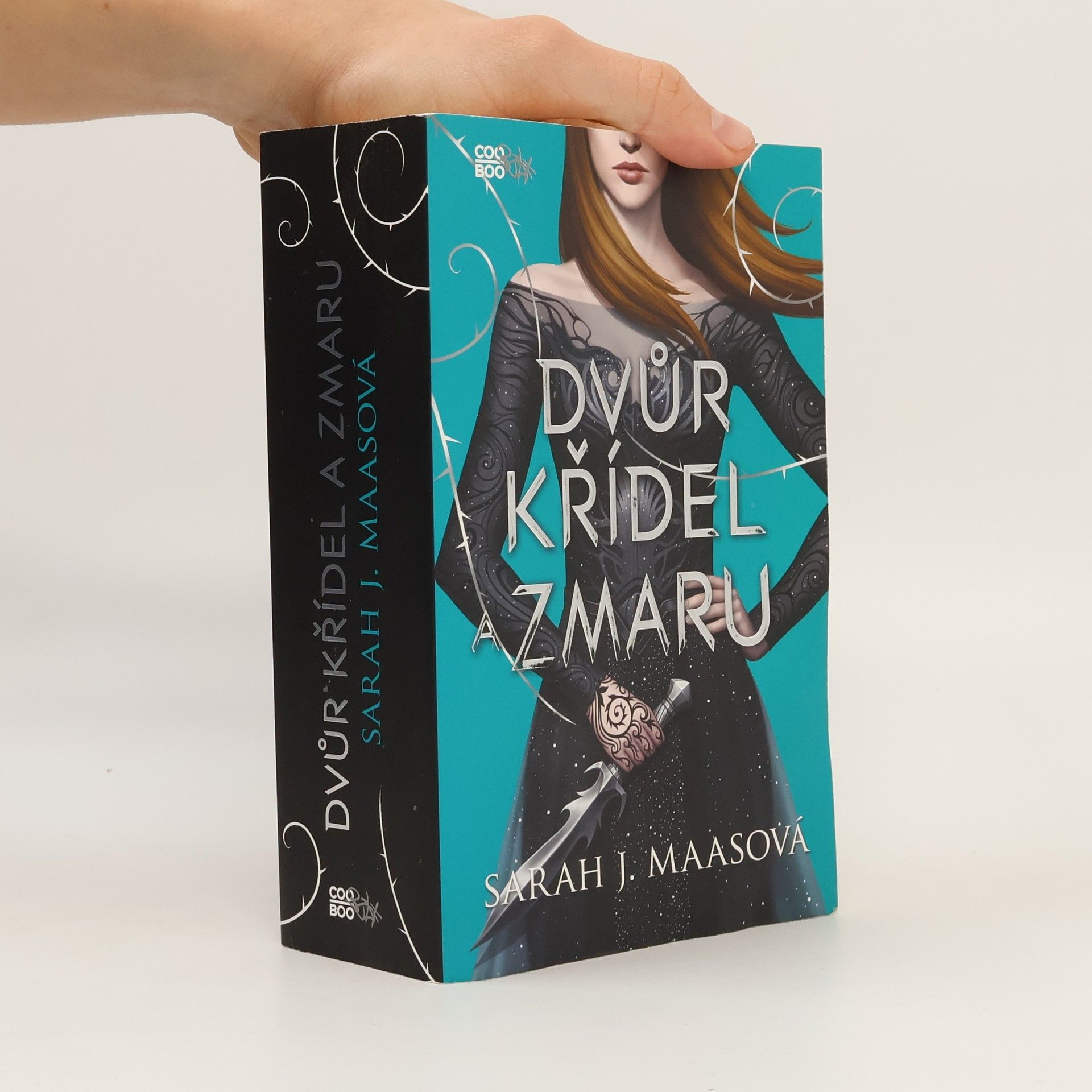 Sarah J. Maas Dvůr křídel a zmaru