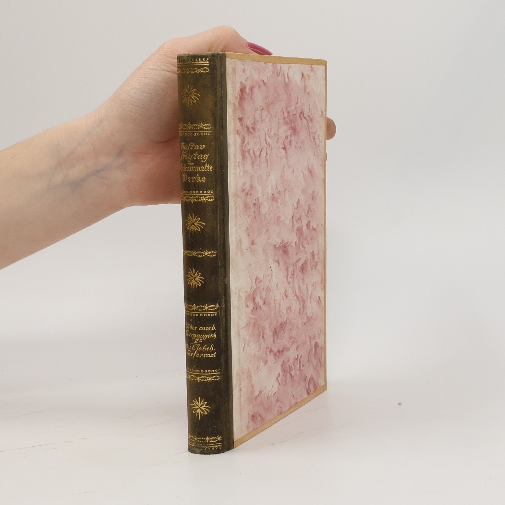 Gustav Freytag Werke, Zweiter Serie, Band 5