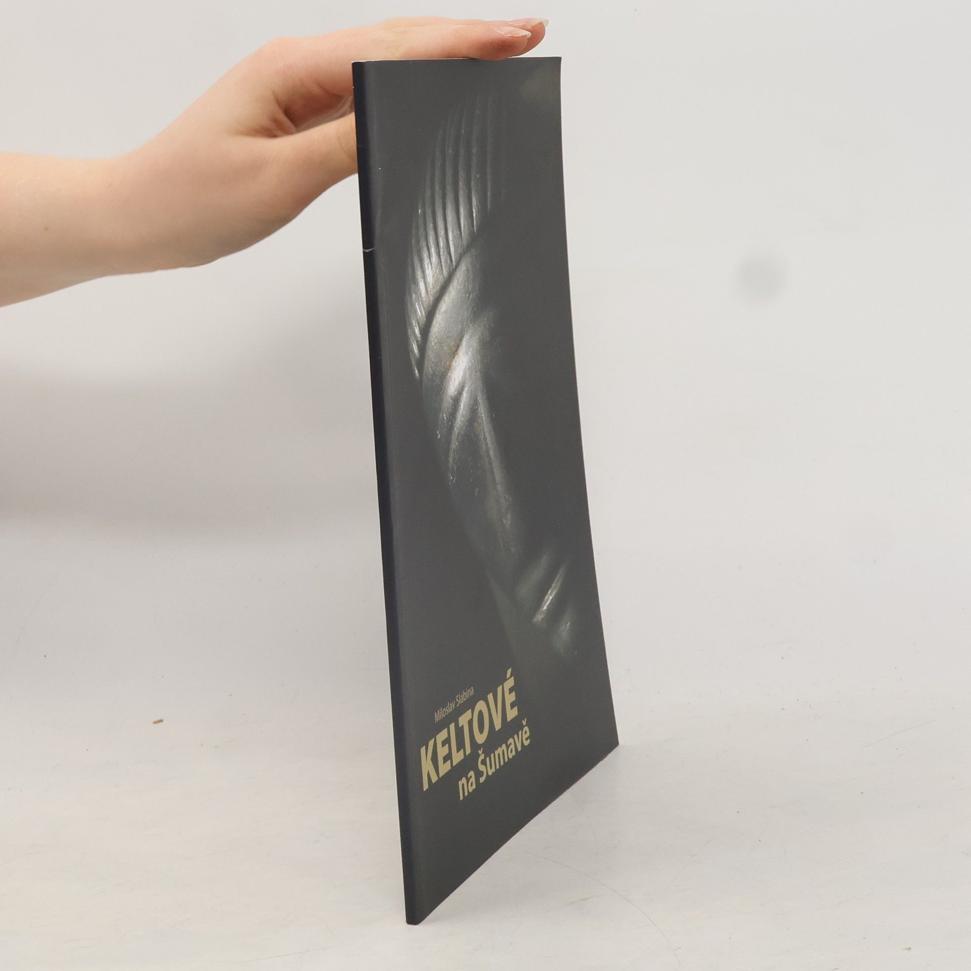 Miloslav Slabina Keltové na Šumavě : za tajemstvím Obřího hradu