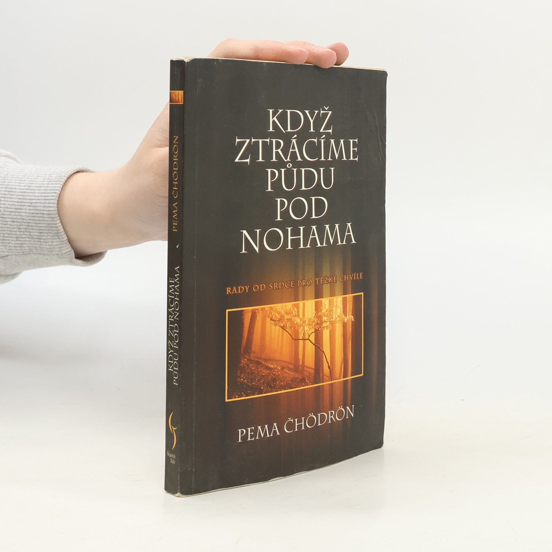 Pema Chödrön Když ztrácíme půdu pod nohama