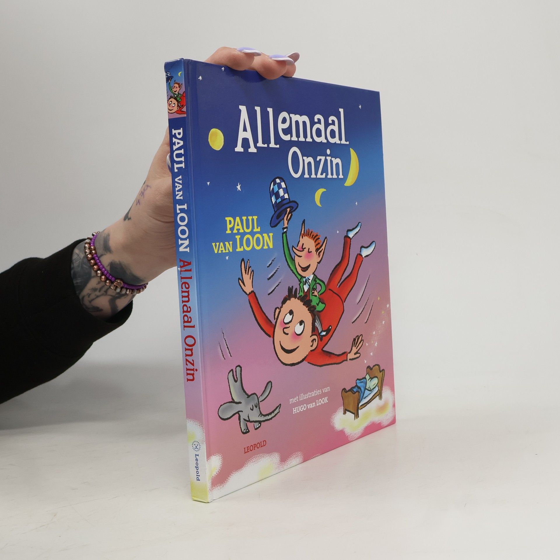 Paulus Stephanus Elisabeth Lambertus Maria Loon Allemaal Onzin