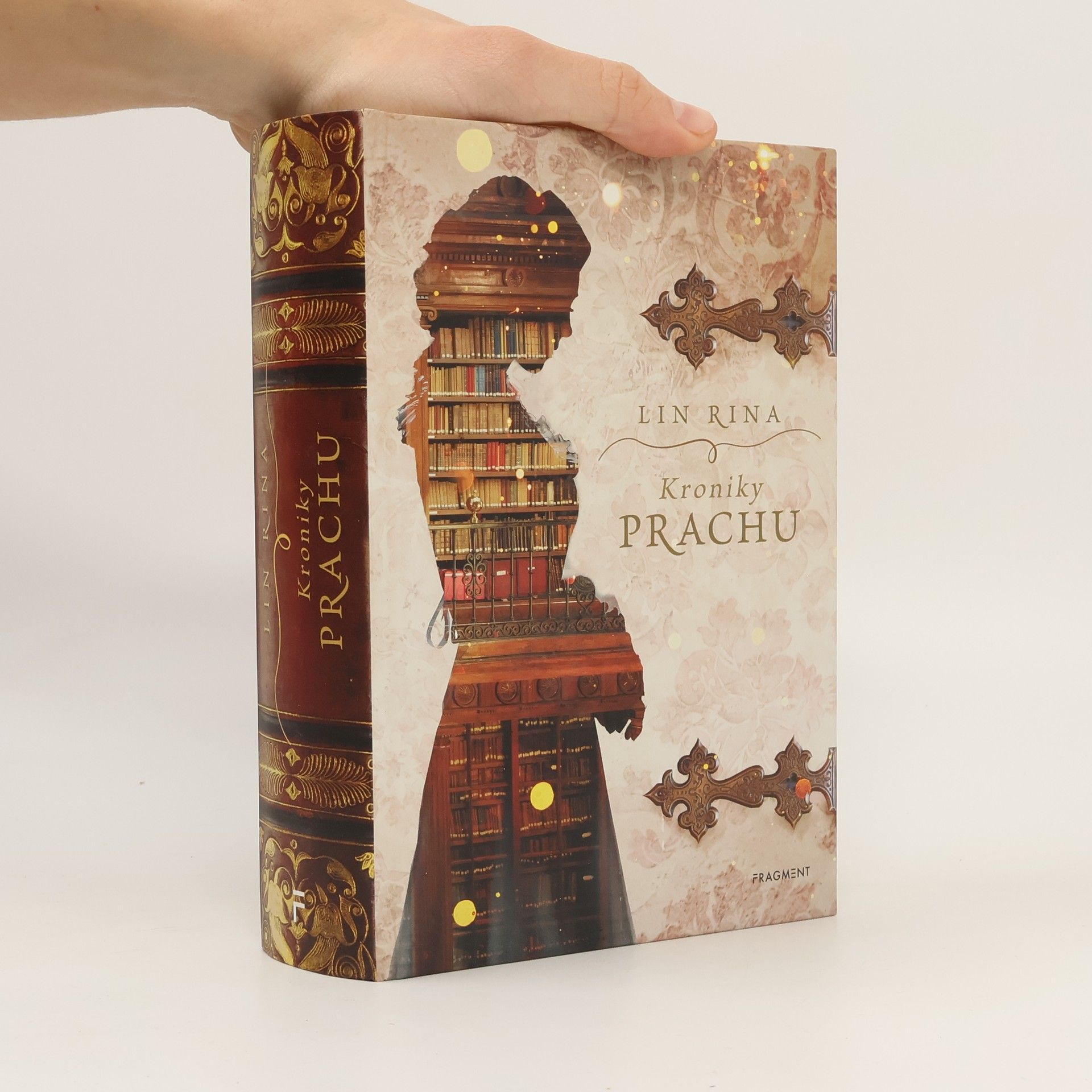 Lin Rina Kroniky prachu