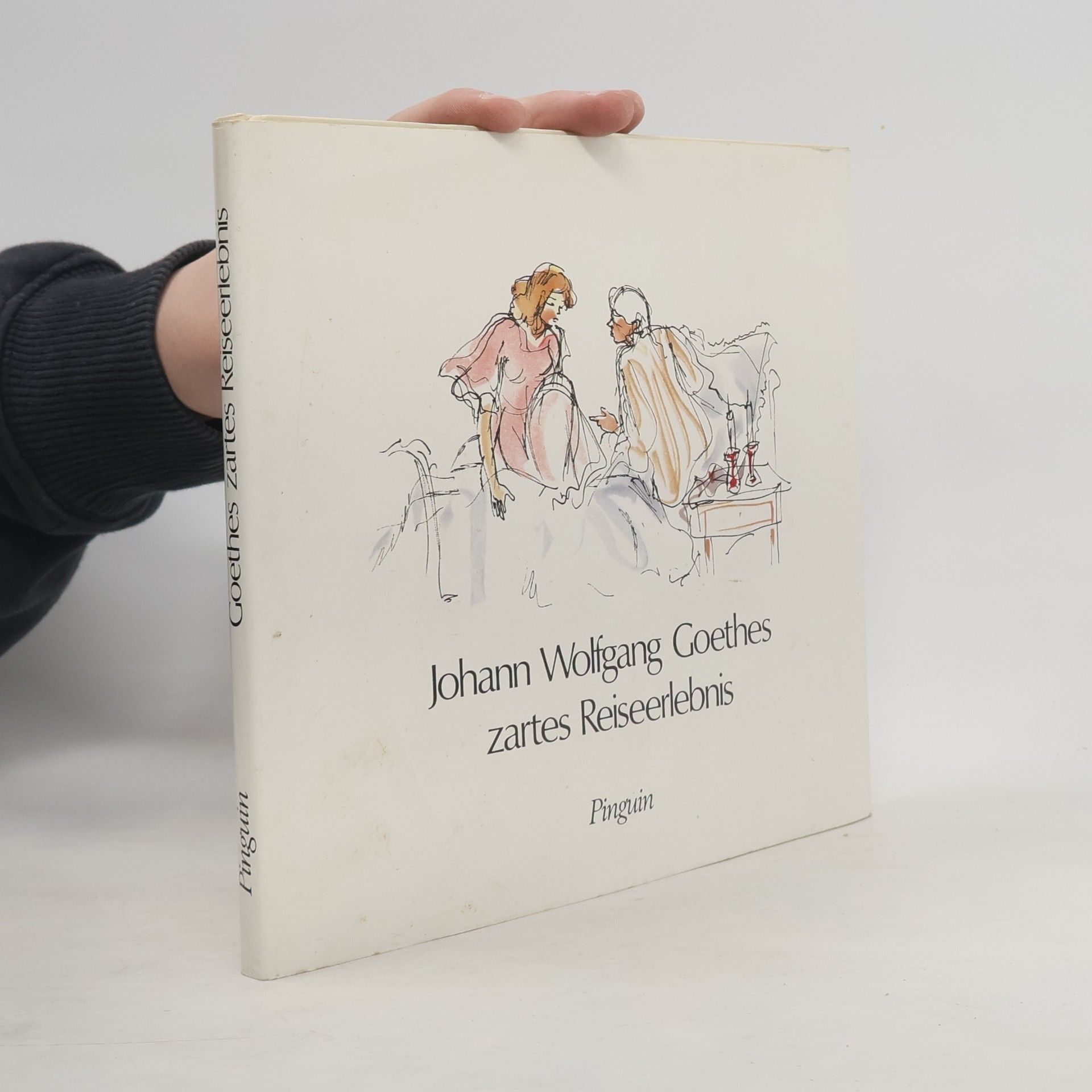 Johann Wolfgang von Goethe Johann Wolfgang Goethes zartes Reiseerlebnis