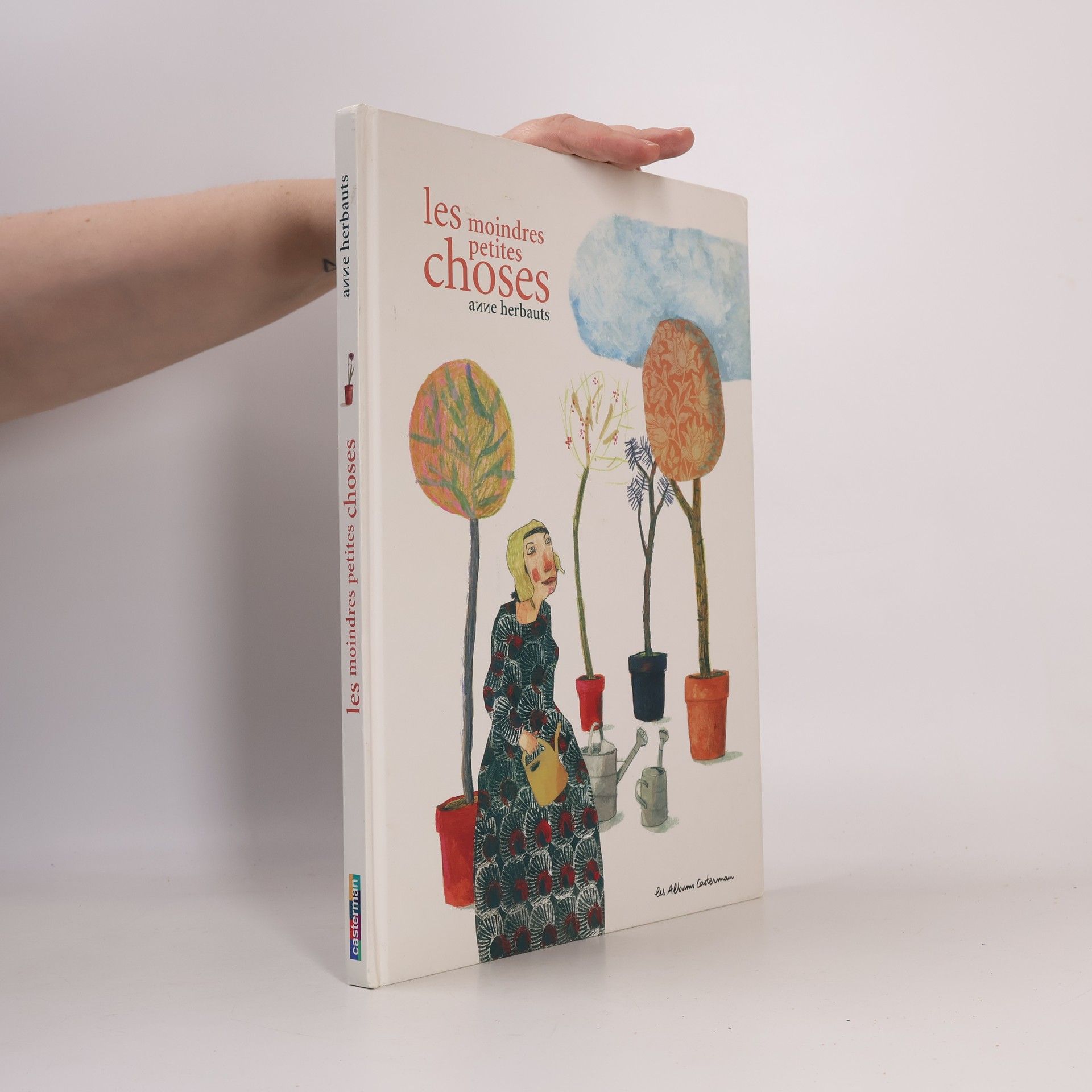 Les Albums Casterman: Les moindres petites choses