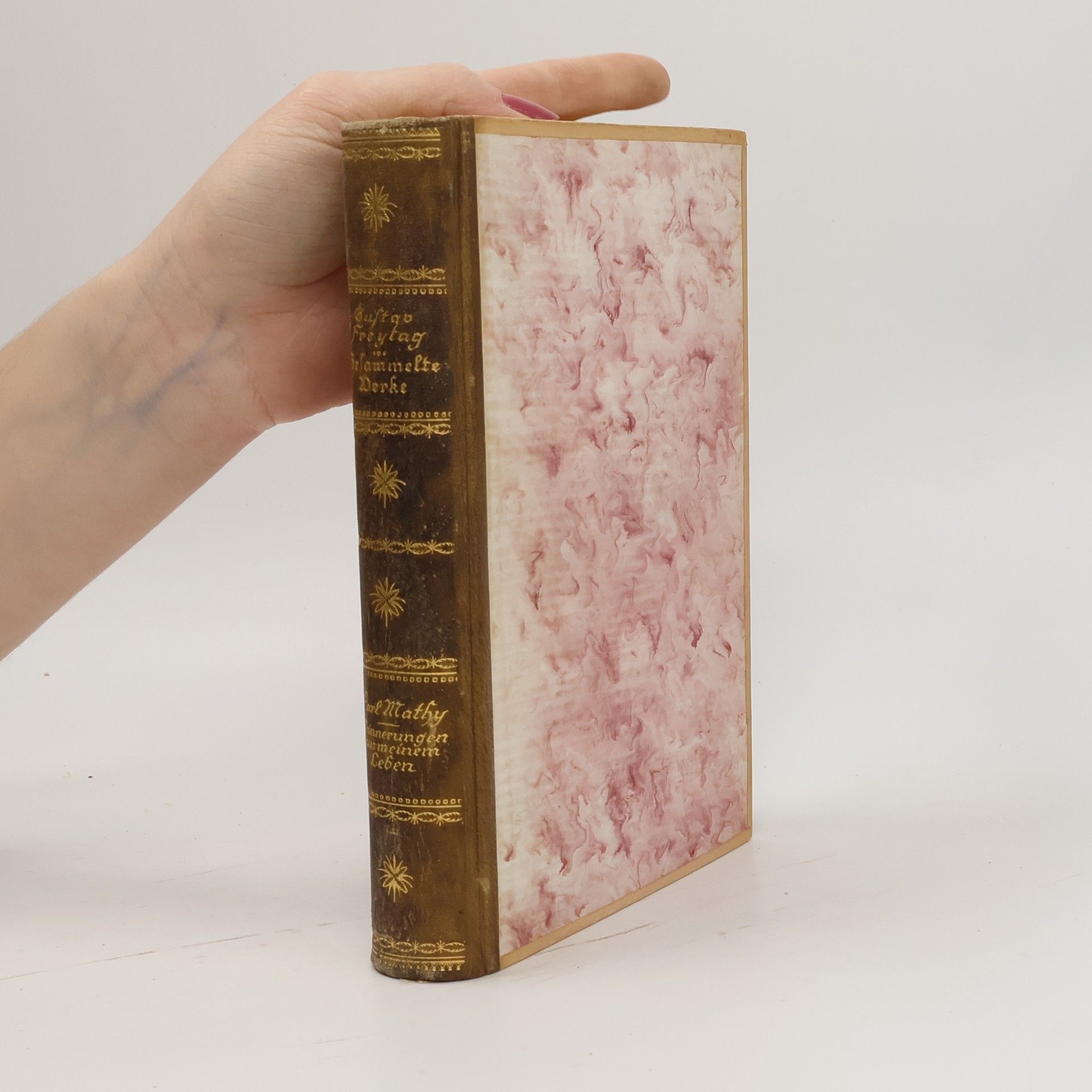 Gustav Freytag Gesammelte Werke 8.