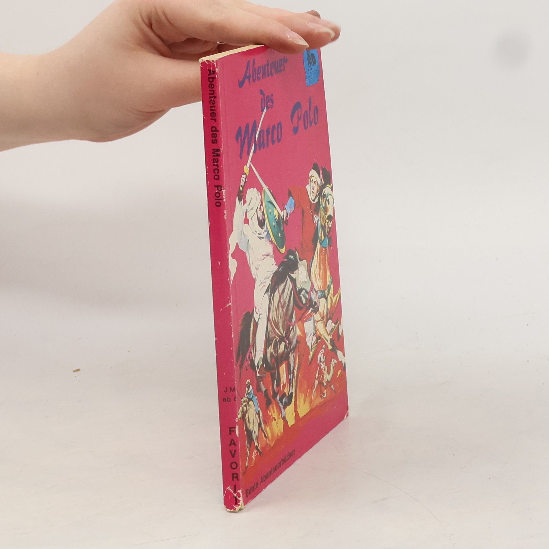 Kolektiv autorů Abenteuer des Marco Polo