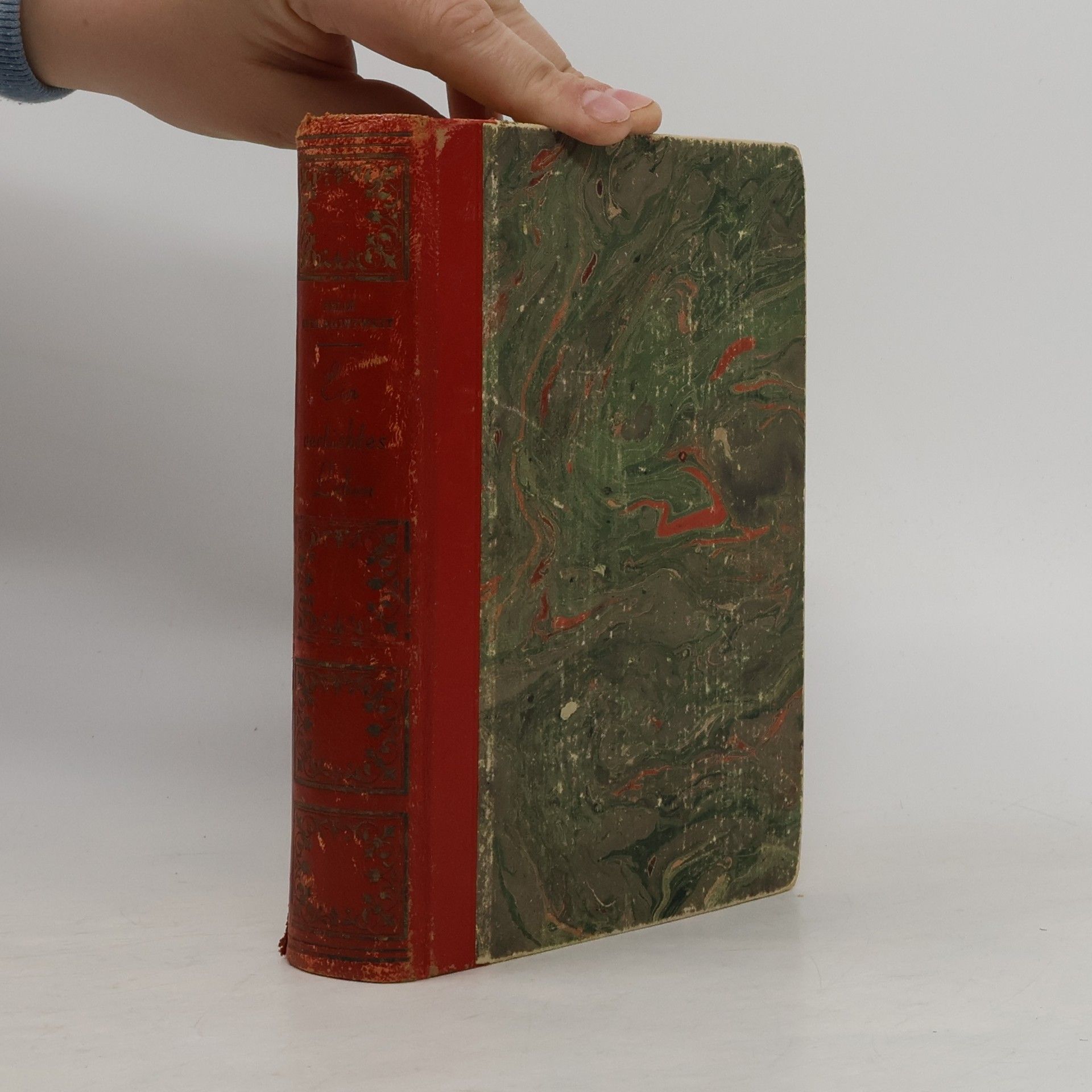 Felix Schlagintweit Ein Verliebtes Leben