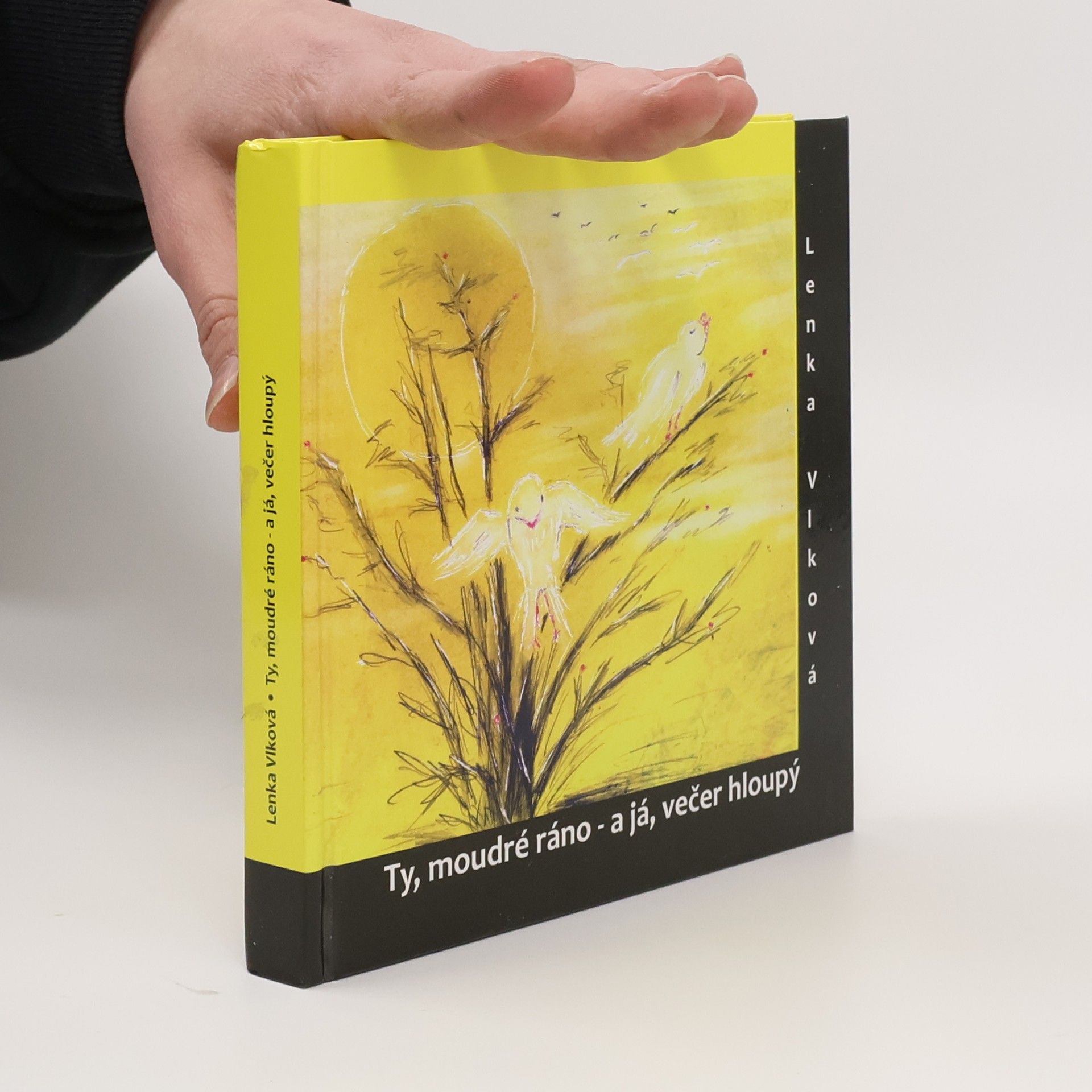 Lenka Vlková Ty, moudré ráno - a já, večer hloupý