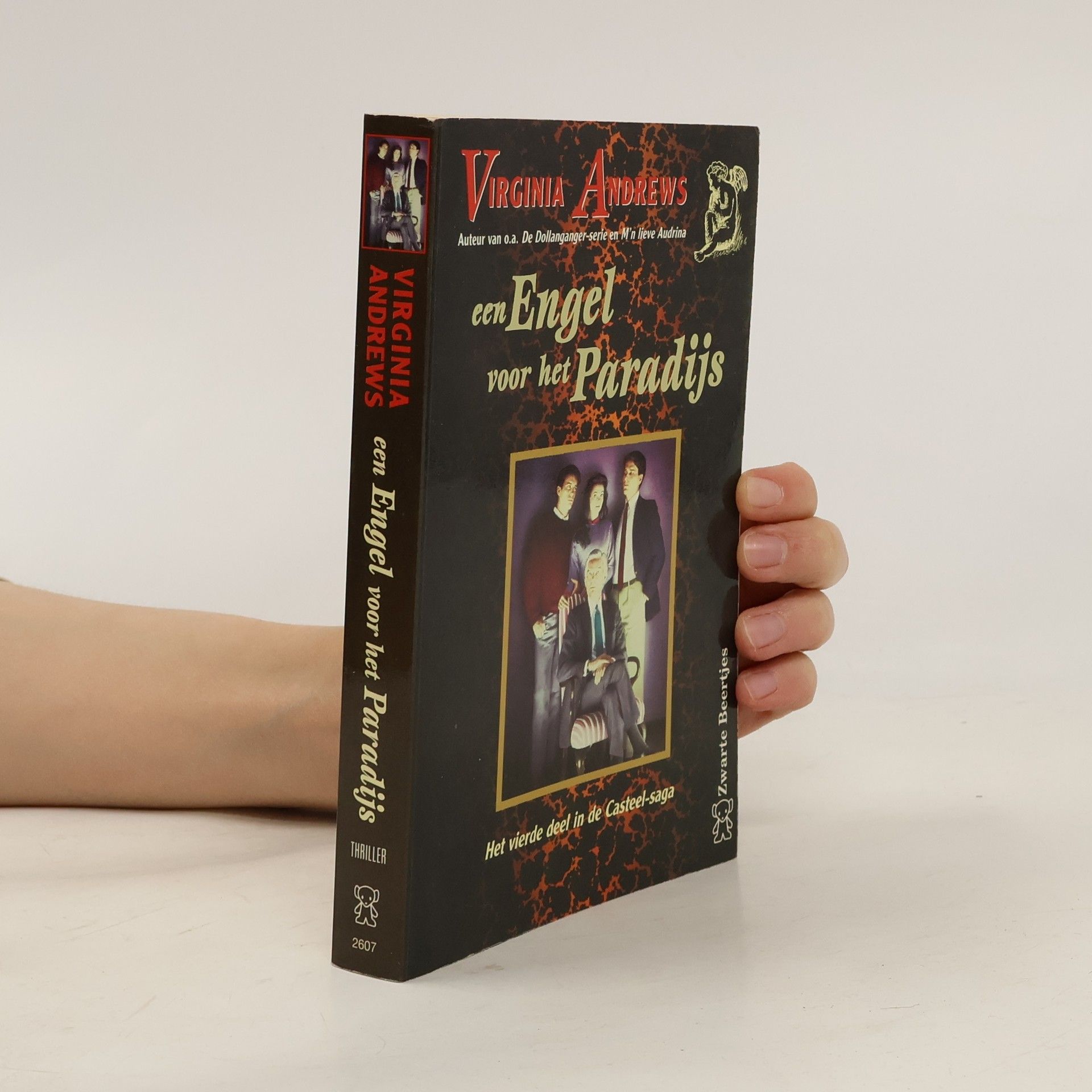 Parma van Loon De Casteel-saga - 4: Een engel voor het paradijs